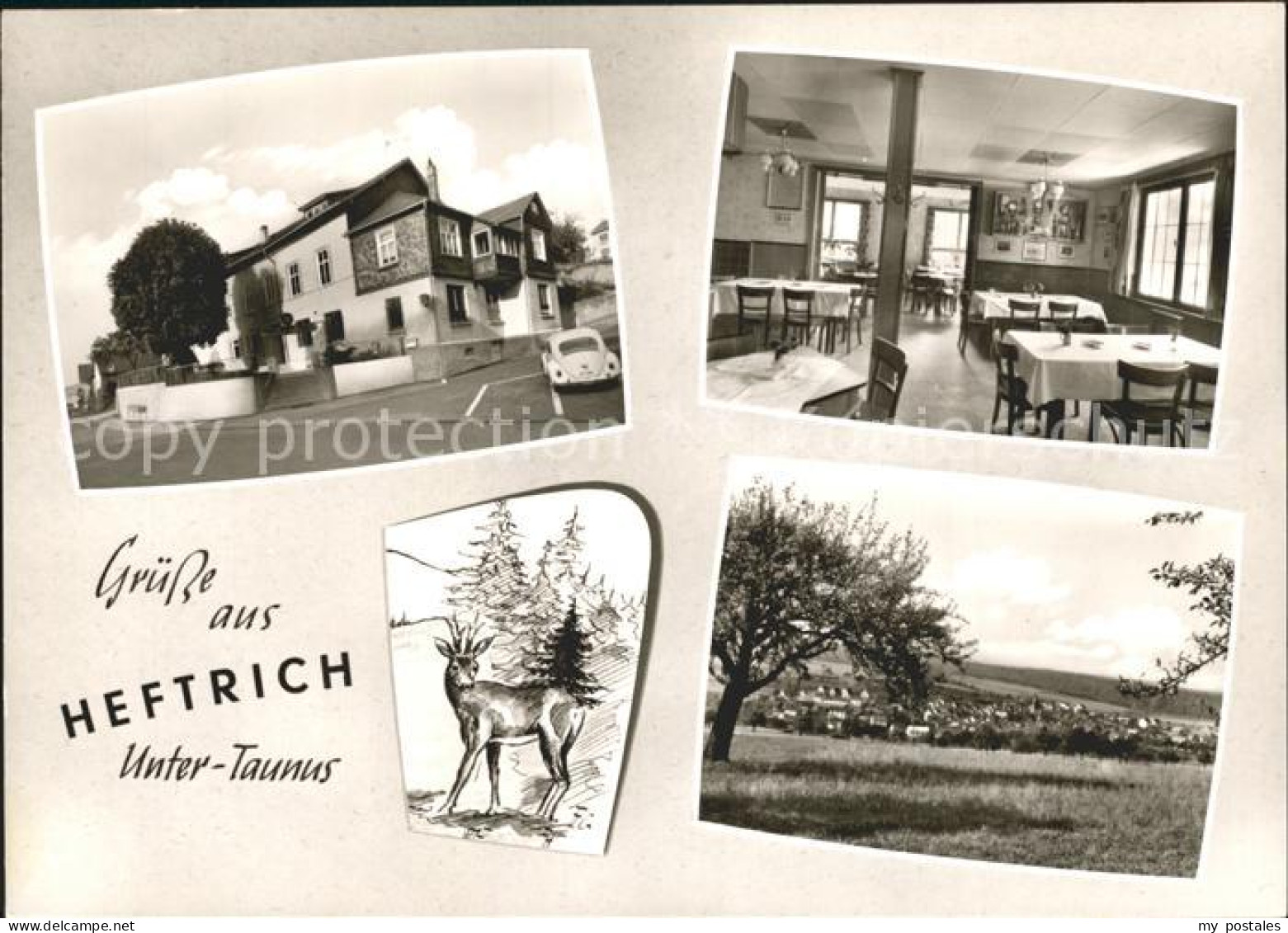 72133731 Heftrich Gasthaus Pension Zum Taunus Reh Landschaft Idstein - Idstein