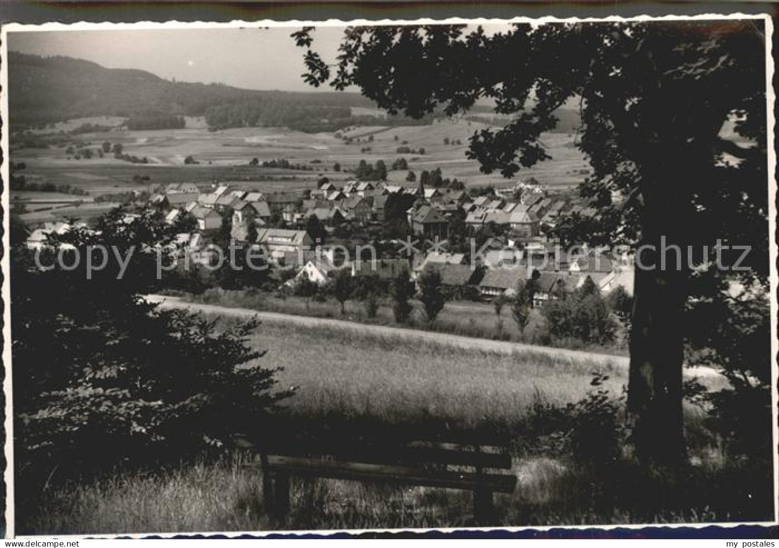 42142343 Wolfshagen Harz Ansicht Vom Waldrand Aus Wolfshagen Harz - Langelsheim