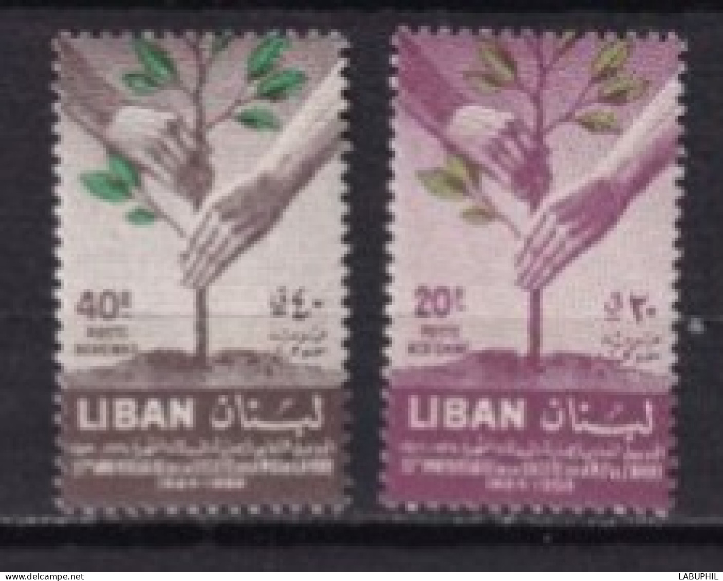 LIBAN MNH ** Poste Aerienne 1960 - Liban