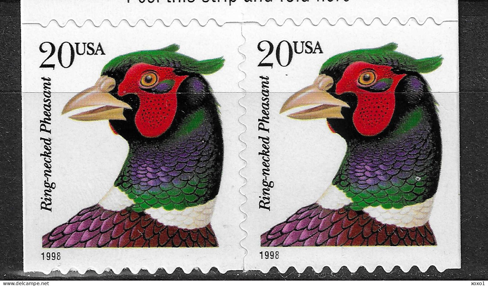 USA 1998 MiNr.2995 BD Birds, Common Pheasant (Phasianus Colchicus) 2v MNH** 2.40 € - Gallinacées & Faisans