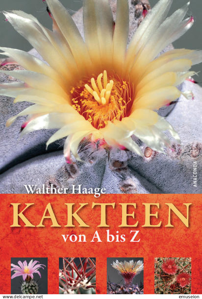 Kakteen Von A Bis Z / Walther Haage. Um Eine Synopsis Zur Wissenschaftlichen Nomenklatur Erw. Von Ulrich Haage - Alte Bücher