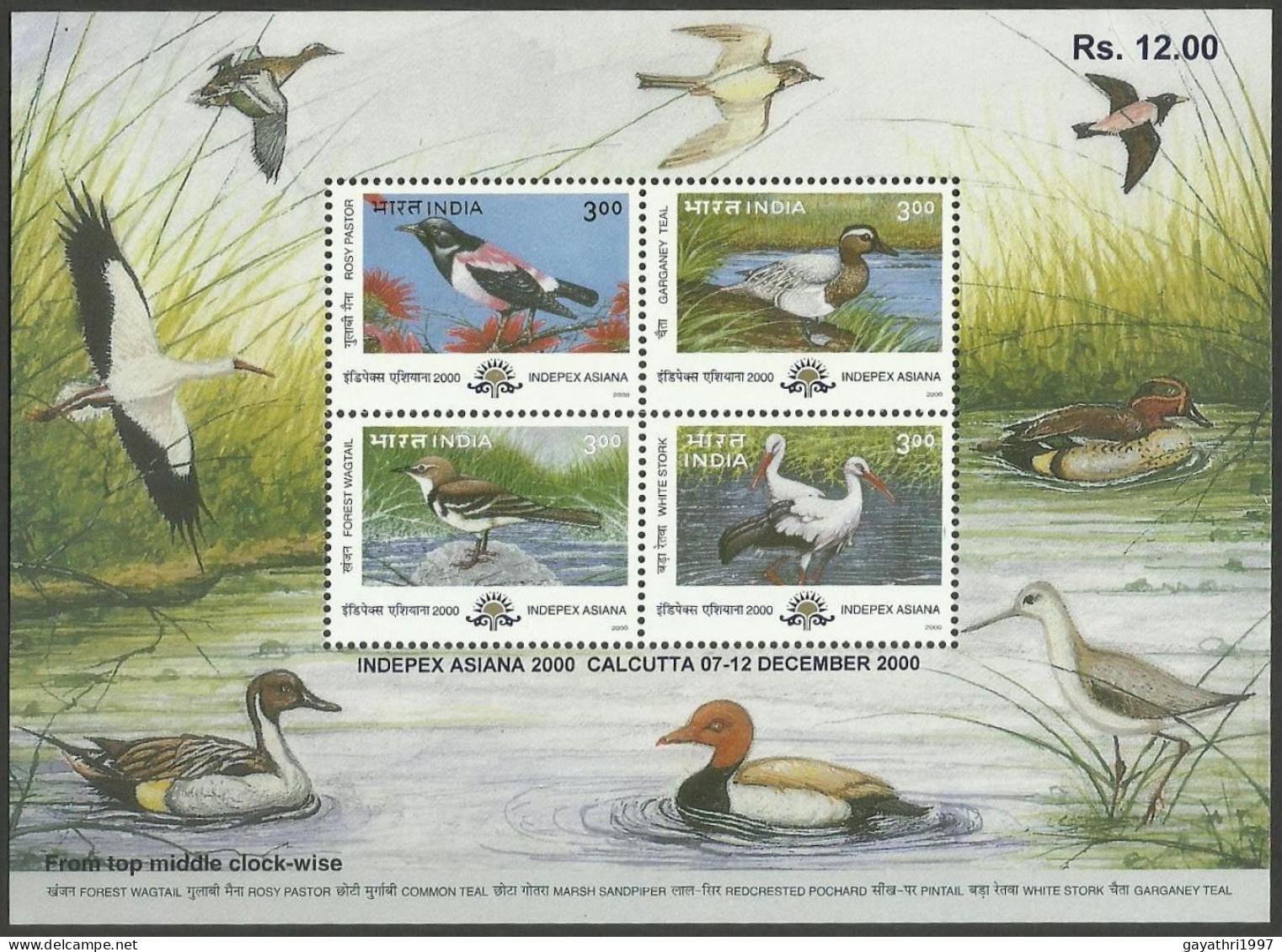 India Migratory Birds 2000 Miniature Sheet Mint Good Condition Back Side Also (pms10) - Unused Stamps