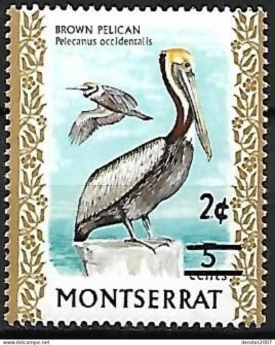 Montserrat - MNH ** 1976 :  Brown Pelican  -  Pelecanus Occidentalis - Pélicans