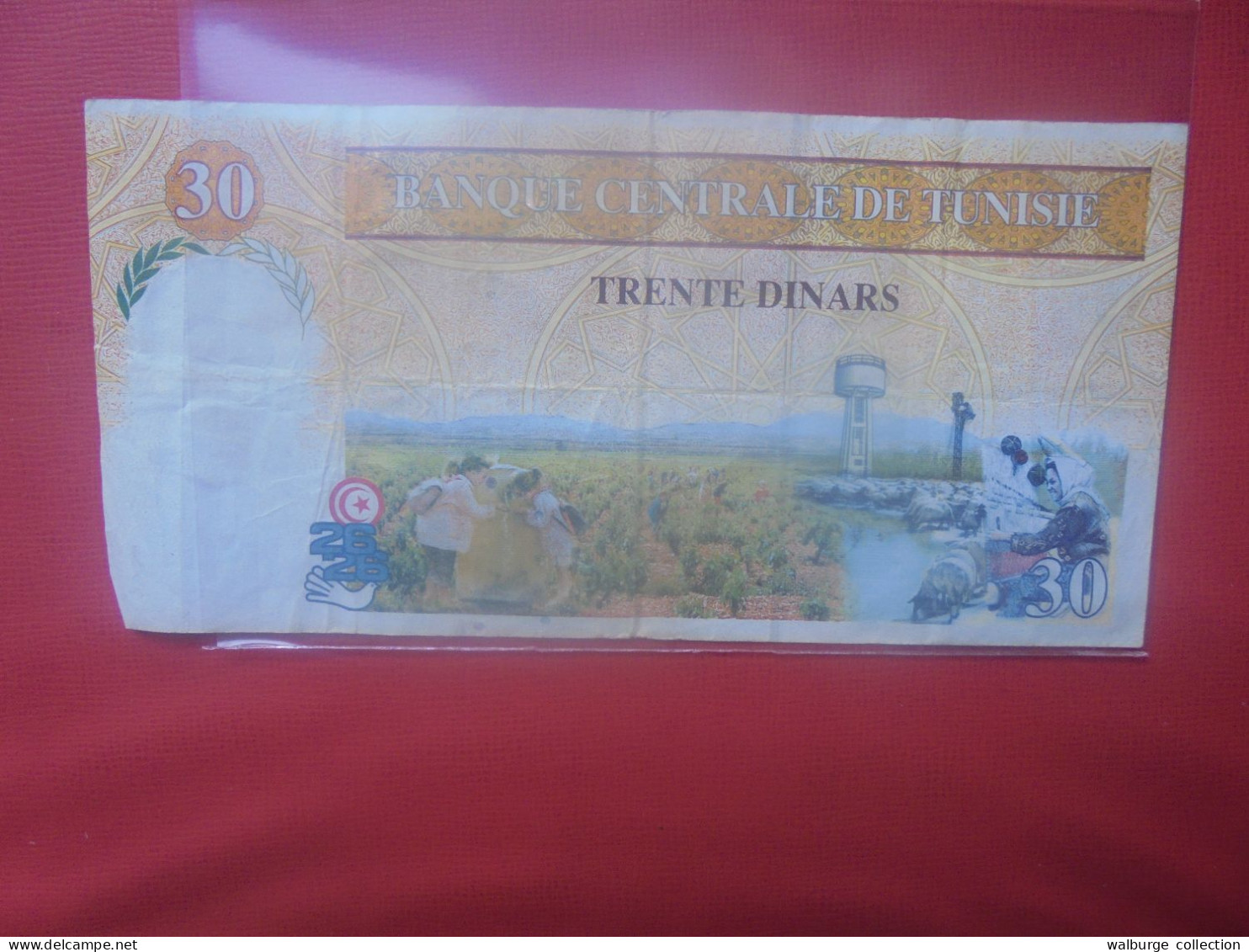 TUNISIE 30 DINARS 1997 Circuler (B.32) - Tunisie