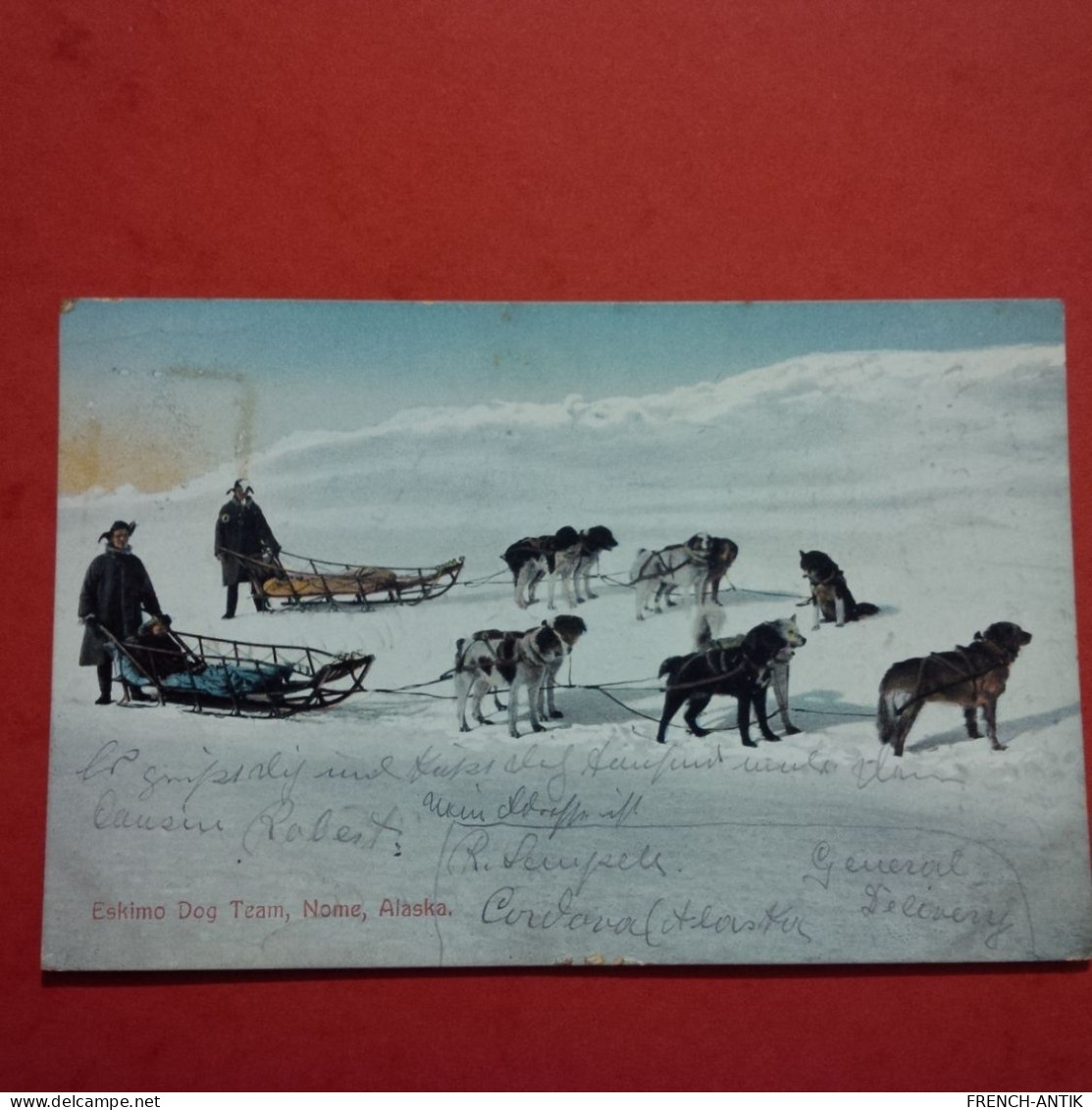 ESKIMO DOG TEAM NOME ALASKA - Other & Unclassified