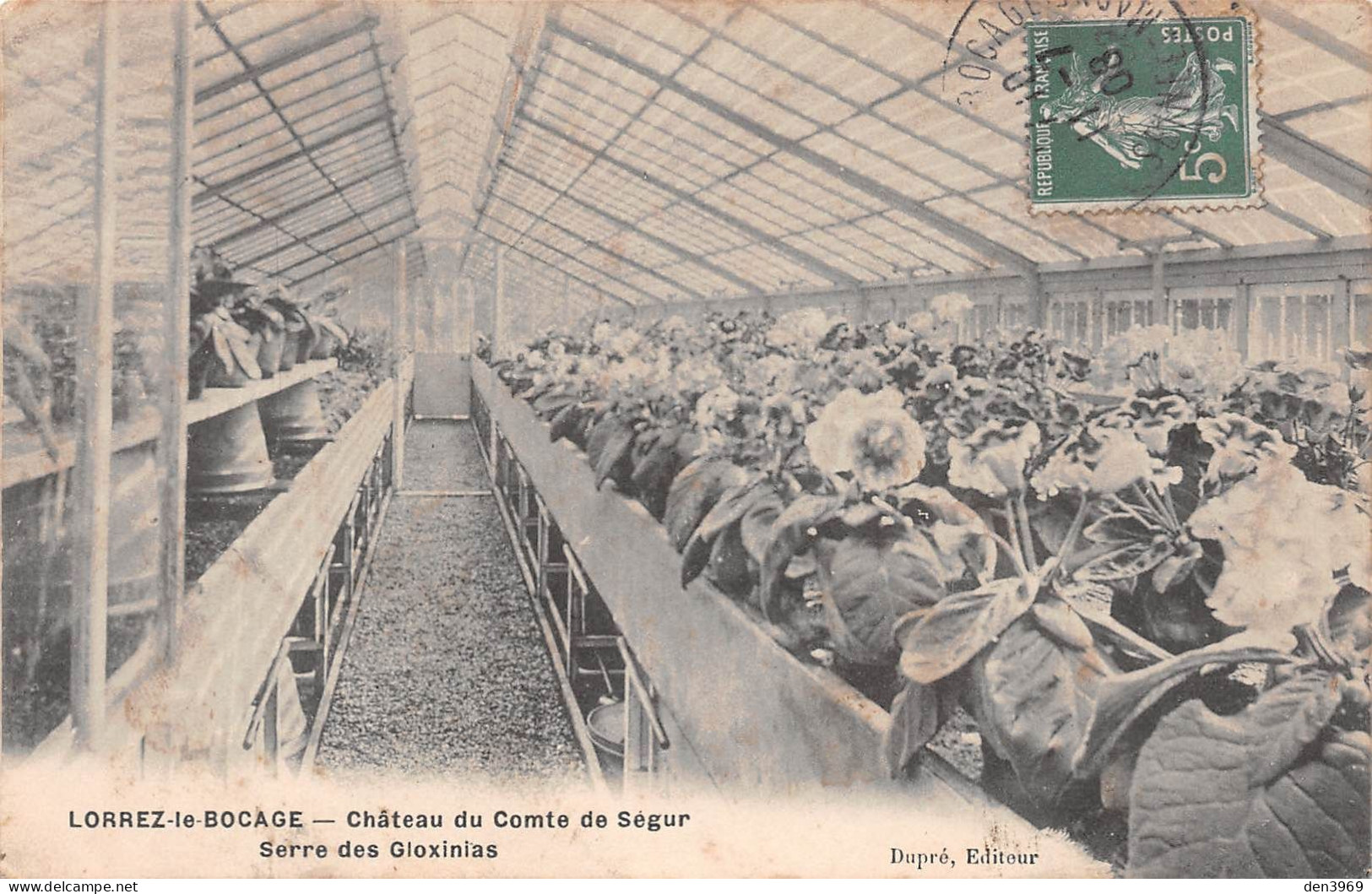 LORREZ-le-BOCAGE (Seine-et-Marne) - Château Du Comte De Ségur - Serre Des Gloxinias - Fleurs - Voyagé 1908 (2 Scans) - Lorrez Le Bocage Preaux