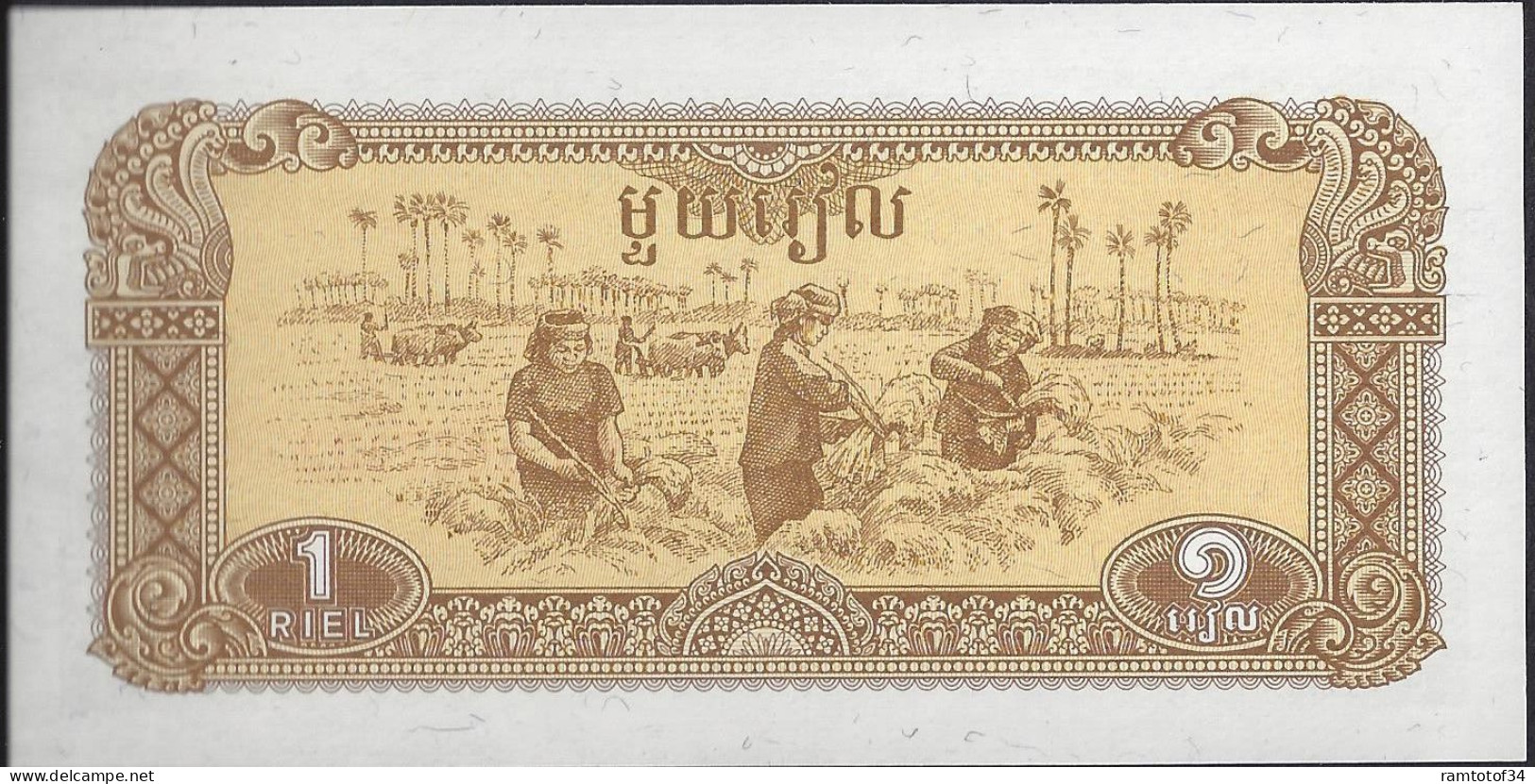 CAMBODGE - 1 Riels 1979 UNC - Cambodia