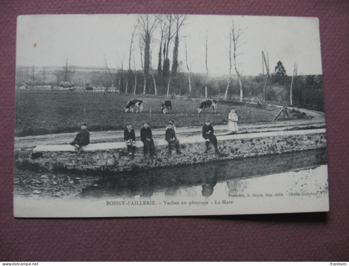 CPA 95 BOISSY L'AILLERIE Vavhes Au Paturage La Mare ANIMEE - Boissy-l'Aillerie