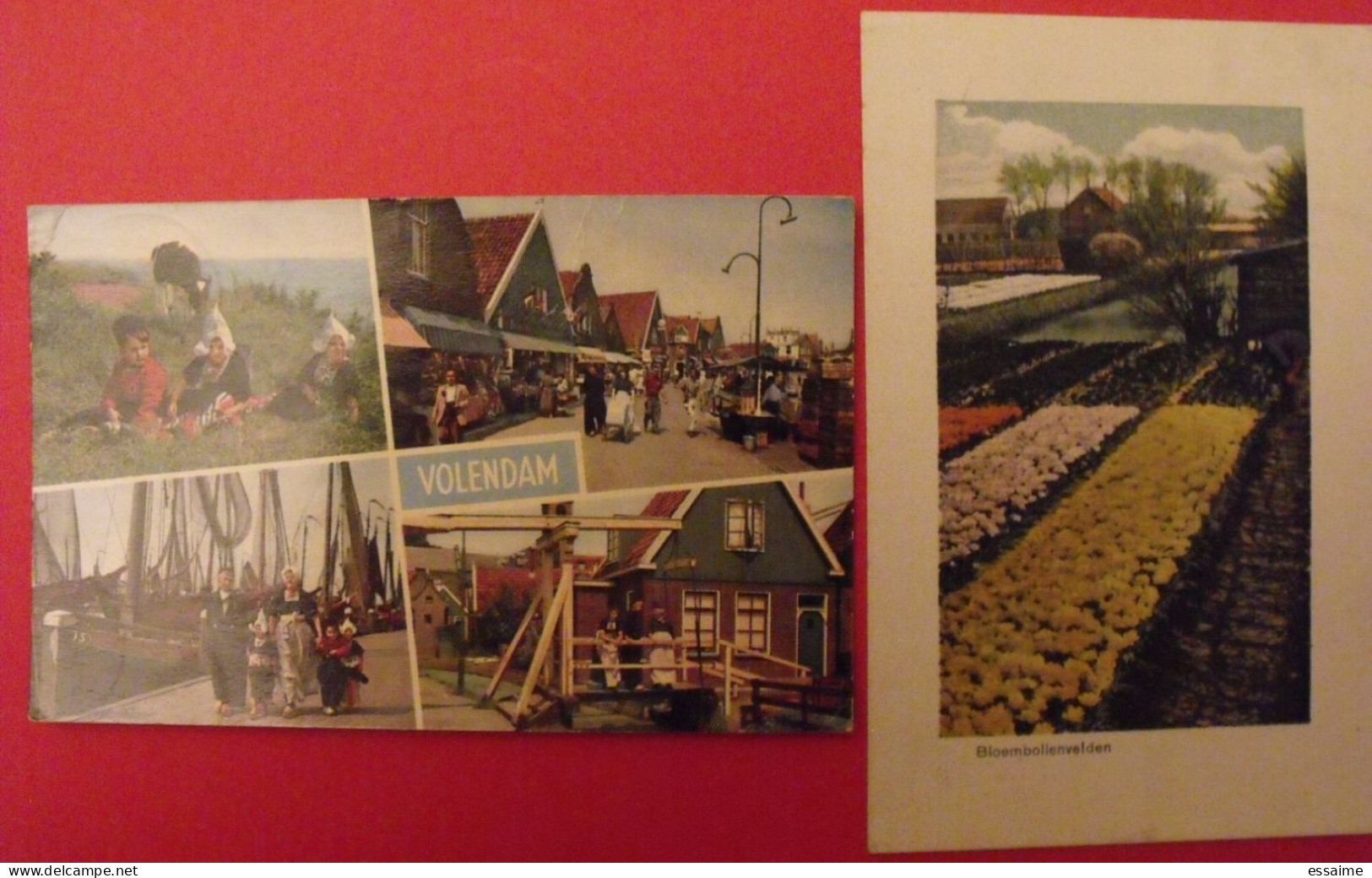 Lot De 2 Cartes Postales. Pays-Bas. Volendam Bloembollenvelden - Verzamelingen & Kavels