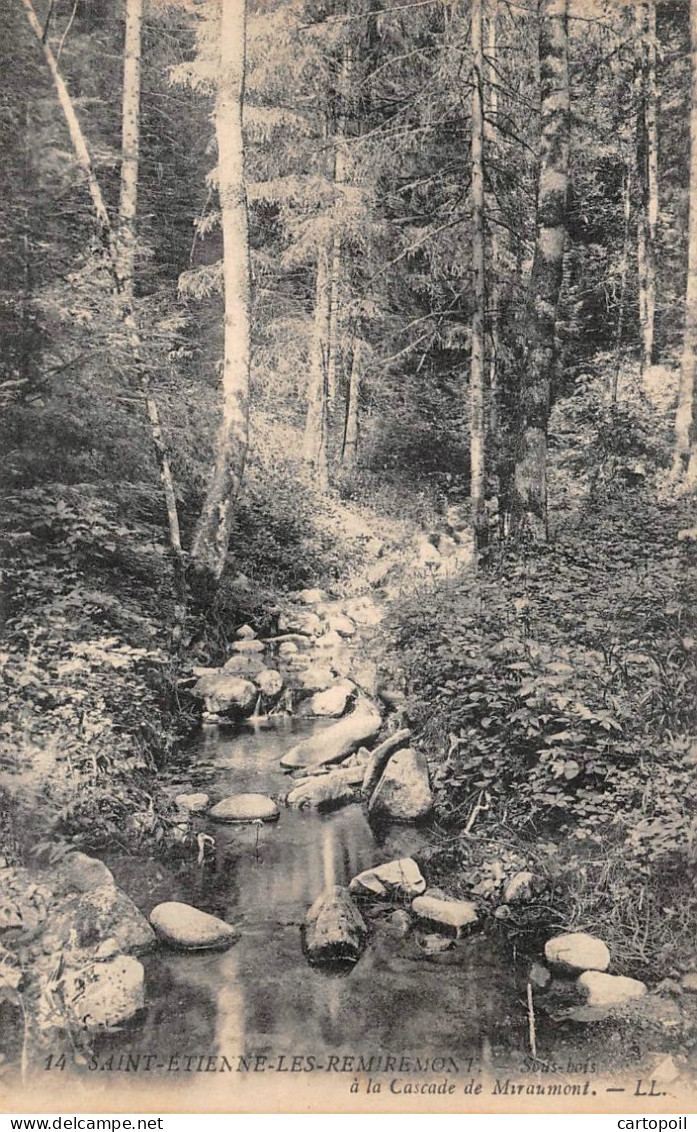 88 - SAINT-ETIENNE-DE-REMIREMONT - Sous Bois à La Cascade De MIRAUMONT - Saint Etienne De Remiremont