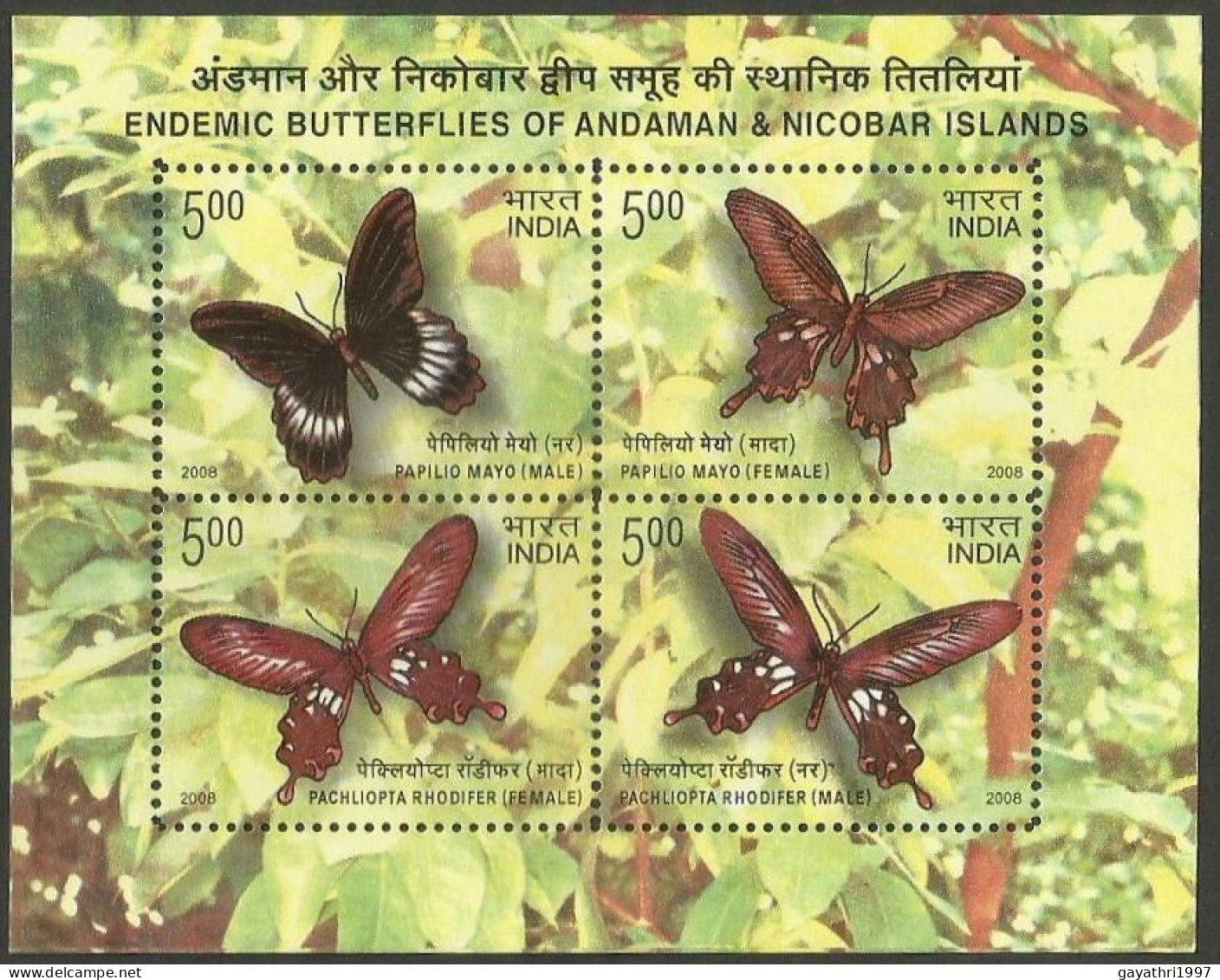 India Butterflies 2008 Miniature Sheet Mint Good Condition Back Side Also (pms52) - Unused Stamps