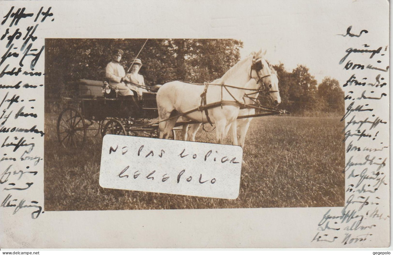 LEGNICA ( LIEGNITZ En Allemand ) - Un Bel Attelage En 1910 ( Carte Photo )  Rare - Polen