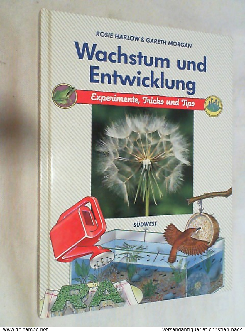 Wachstum Und Entwicklung. - Sonstige & Ohne Zuordnung