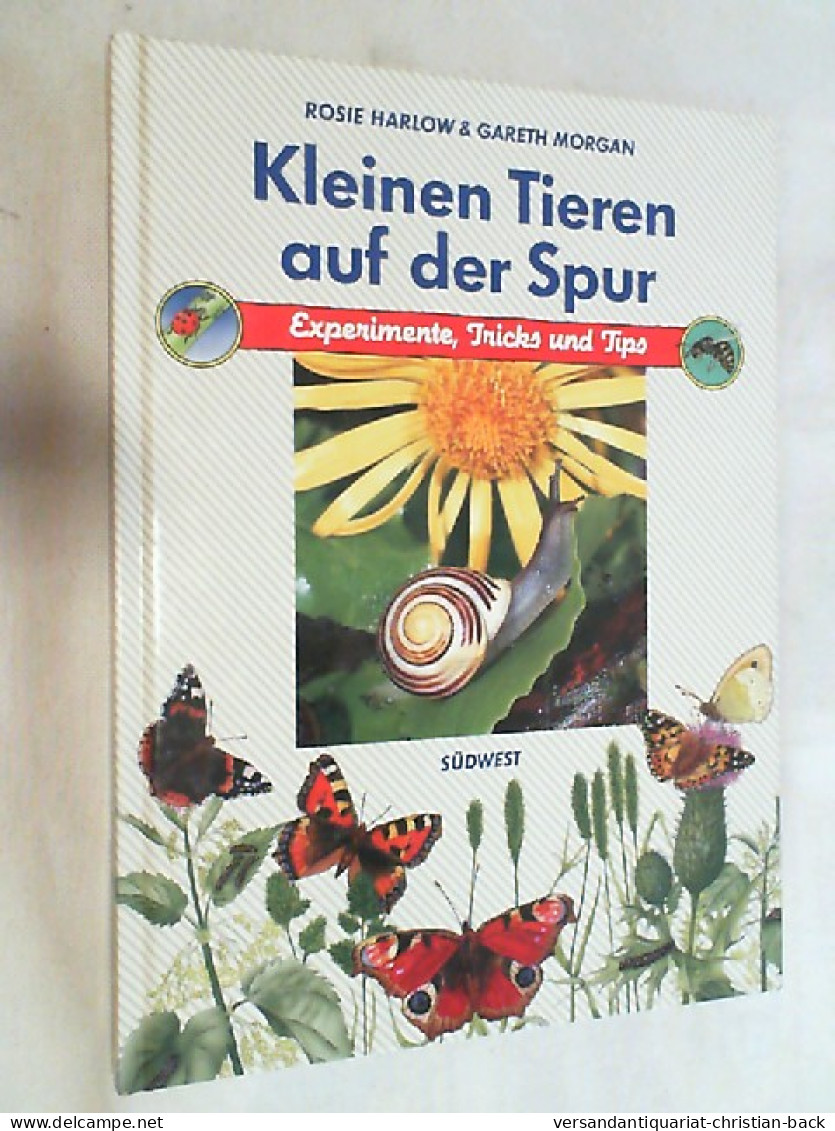 Kleinen Tieren Auf Der Spur. - Altri & Non Classificati