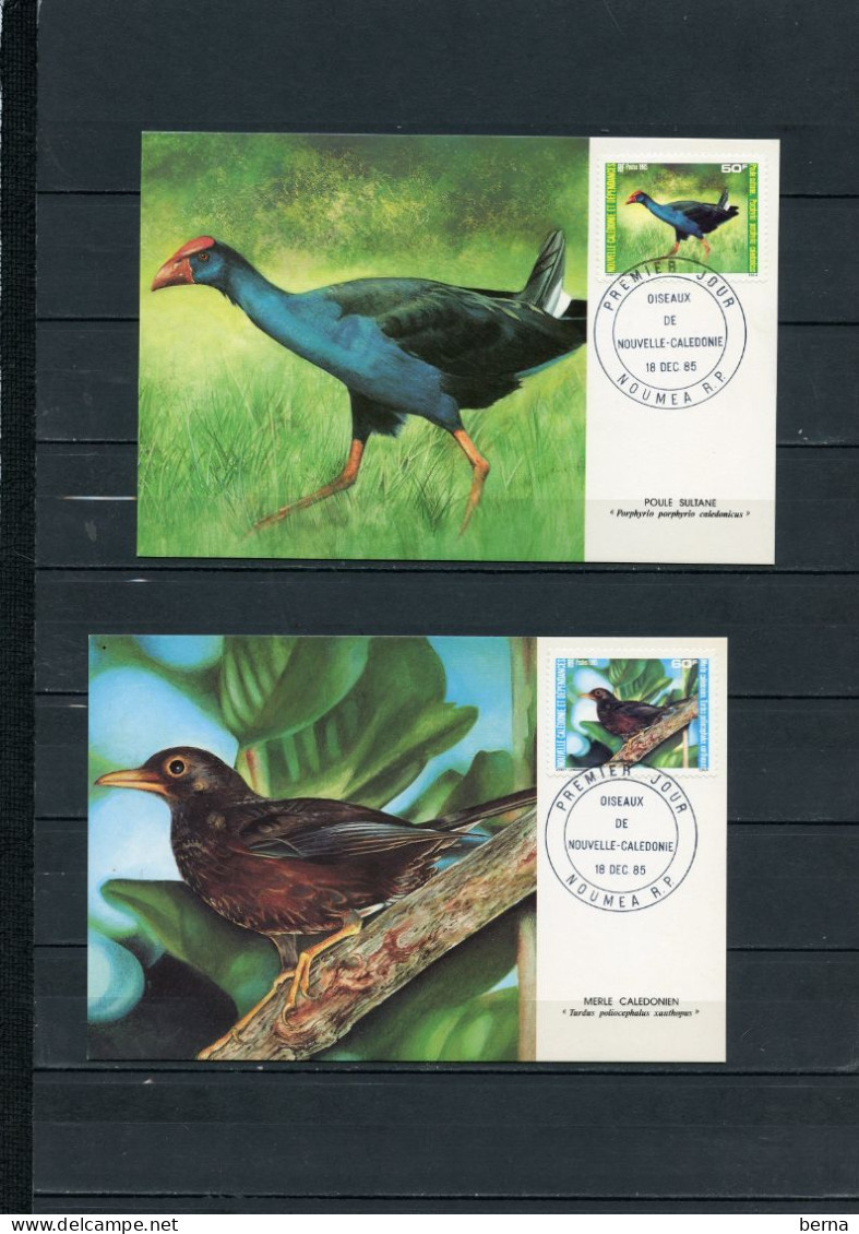 NOUVELLE CALEDONIE 2 CARTES MAXIMUM 510/511 MERLE POULE - Cartes-maximum