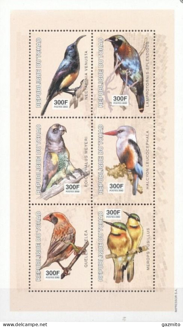 Tchad 2003, Birds, Kingfisher, Parrot, 6val In Block - Marine Web-footed Birds