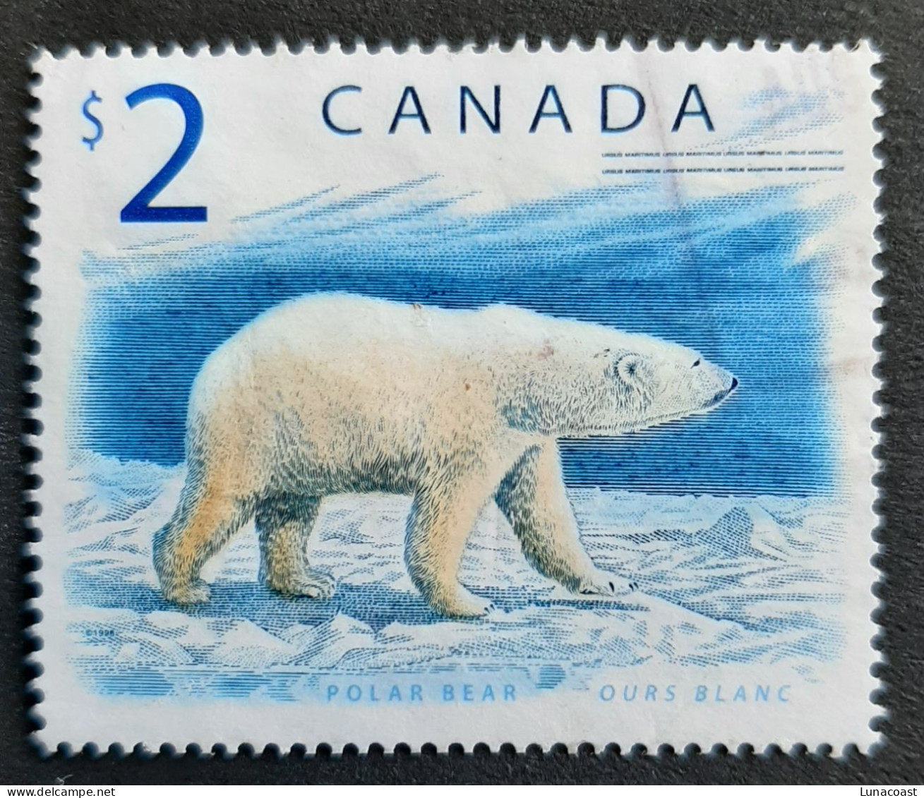 Canada 1997  USED  Sc1690    2$  Polar Bear - Oblitérés