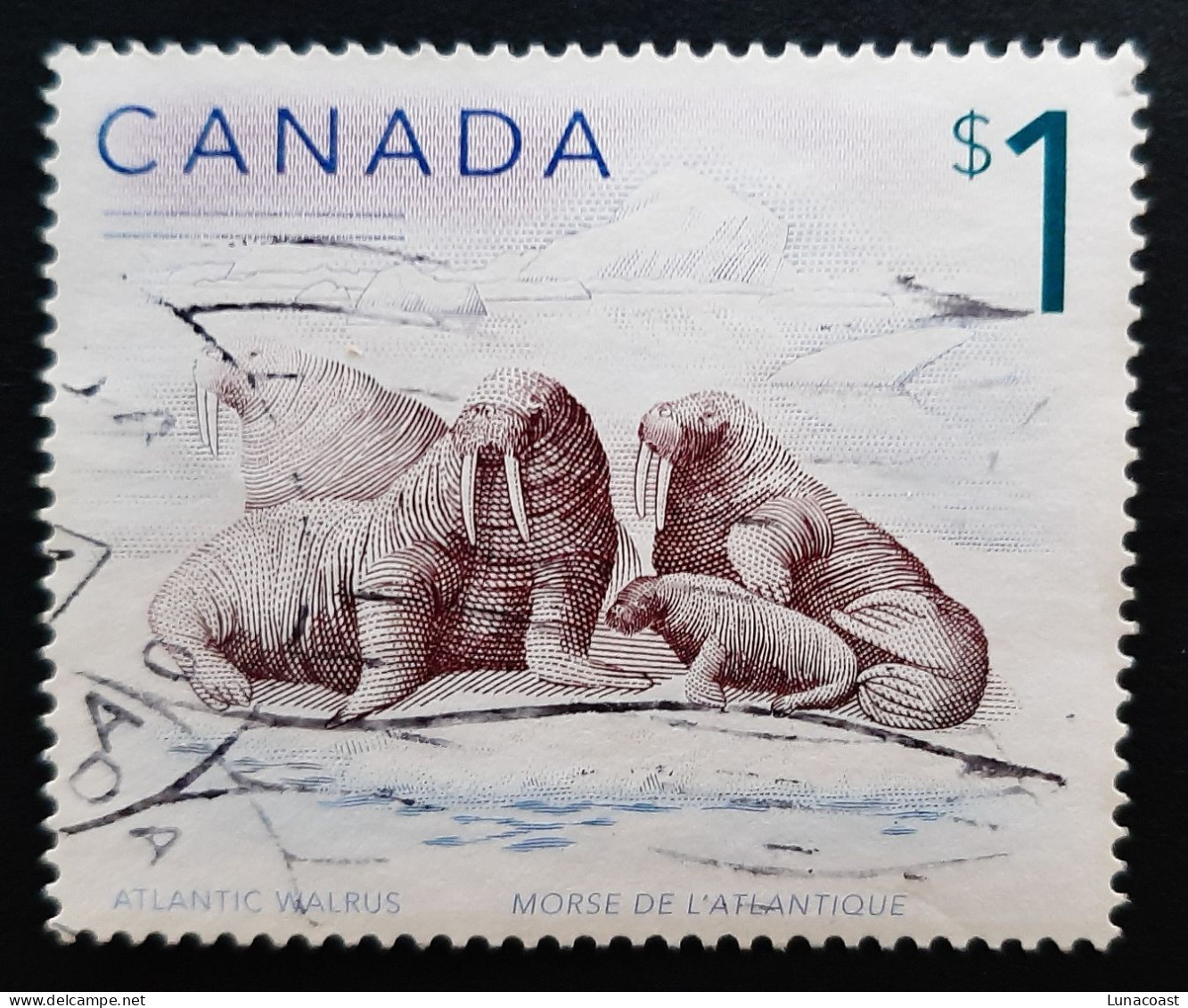 Canada 1997  USED  Sc1689    1$  Walrus - Gebraucht