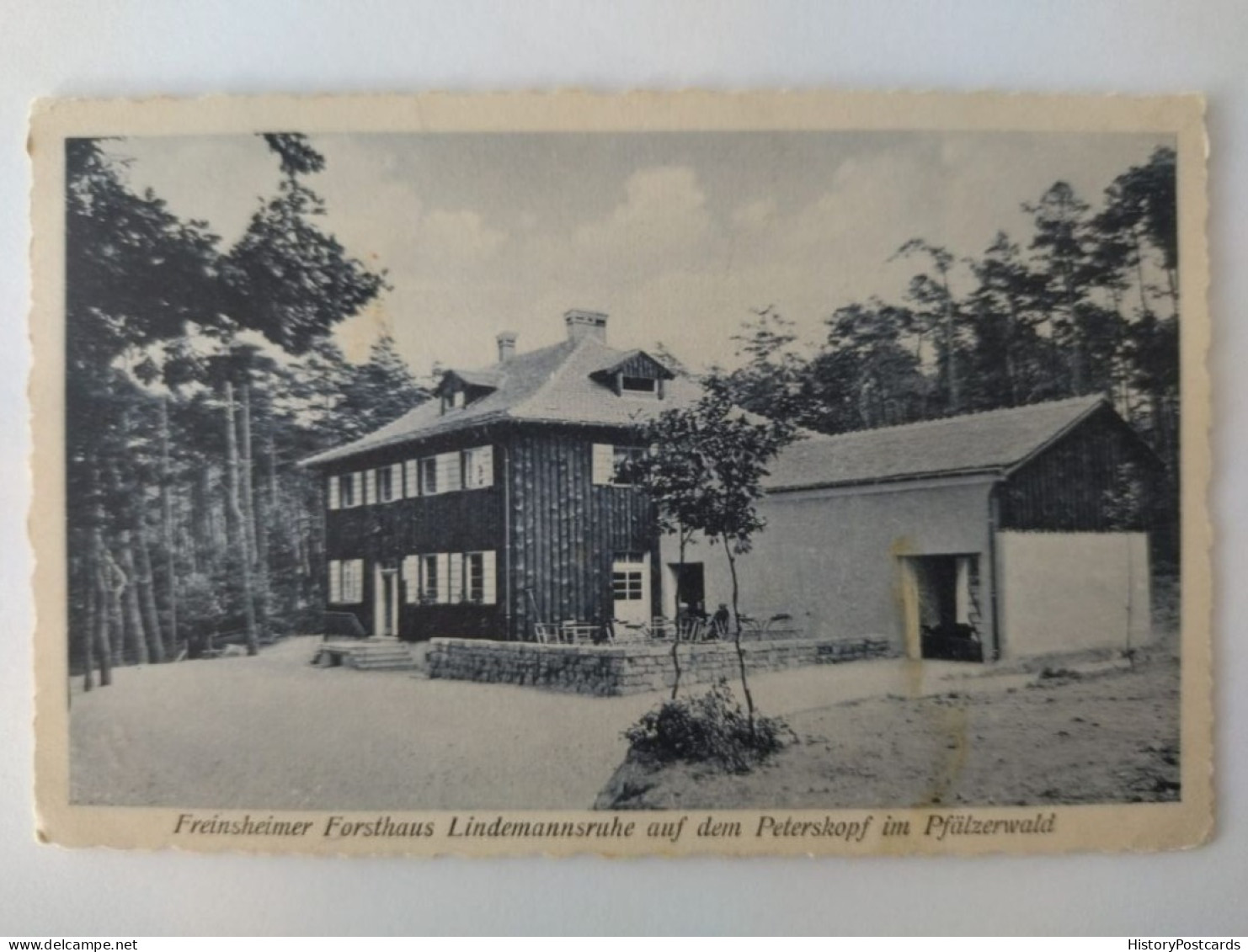 Freinsheimer Forsthaus Lindemannsruhe Auf Dem Peterskopf Im Pfälzerwald, 1929 - Bad Duerkheim