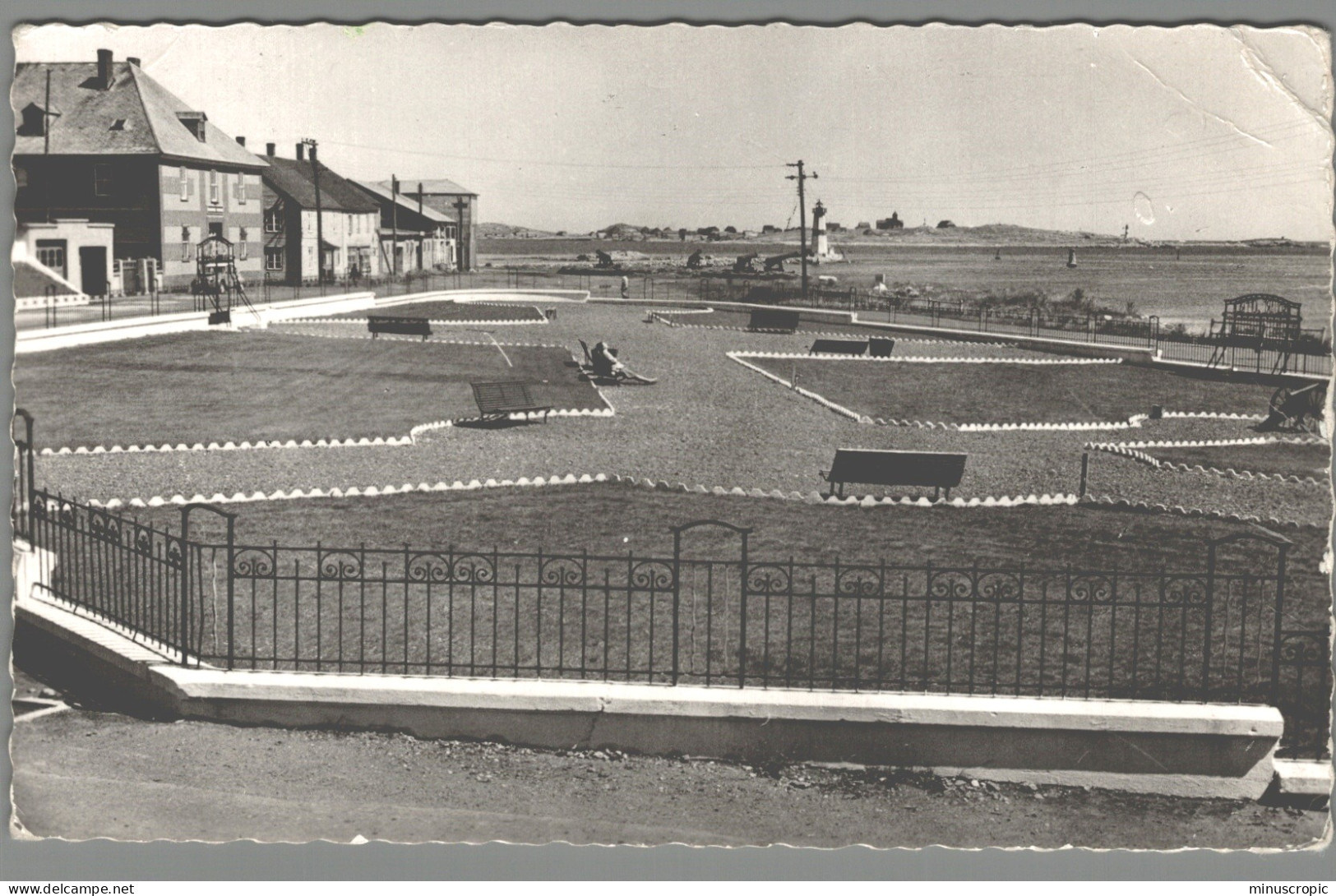 CPSM - Saint Pierre Et Miquelon - Square Joffre - Saint-Pierre-et-Miquelon