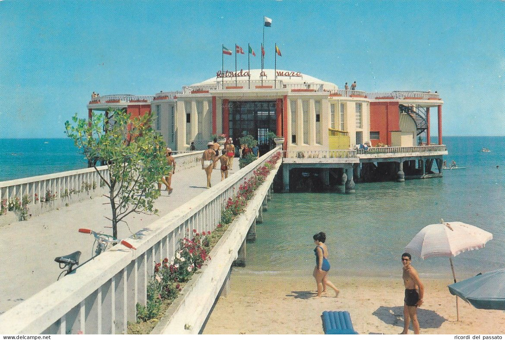 Cartolina Senigallia ( Ancona ) - La Rotonda - Senigallia