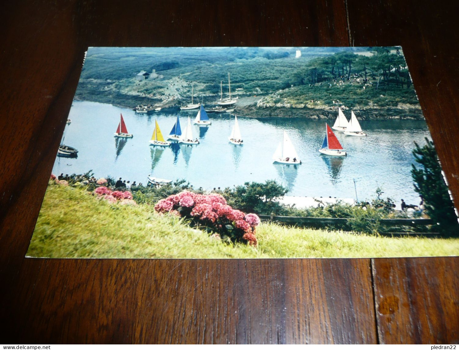 CARTE POSTALE MODERNE CPM BRETAGNE SUD FINISTERE MOELAN SUR MER REGATES AU PORT DE MERRIEN ECRITE AVEC TIMBRE 1972 - Moëlan-sur-Mer