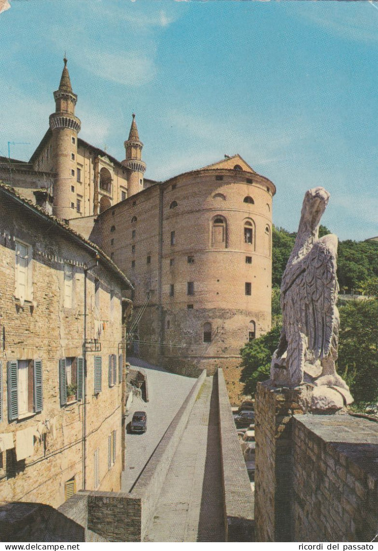 Cartolina Urbino - I Torricini Visti Da Porta Valbona - Urbino