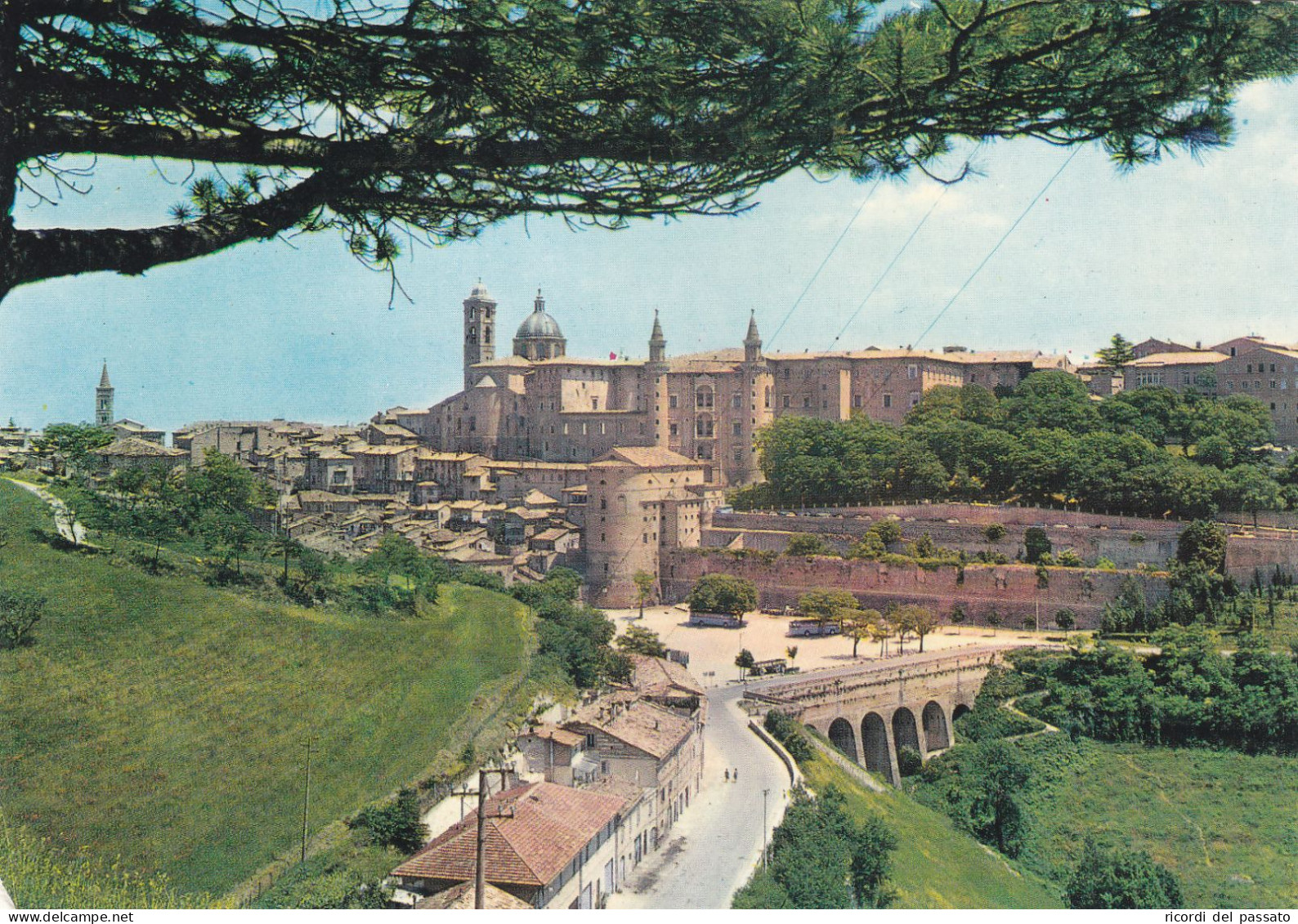 Cartolina Urbino - Panorama - Urbino