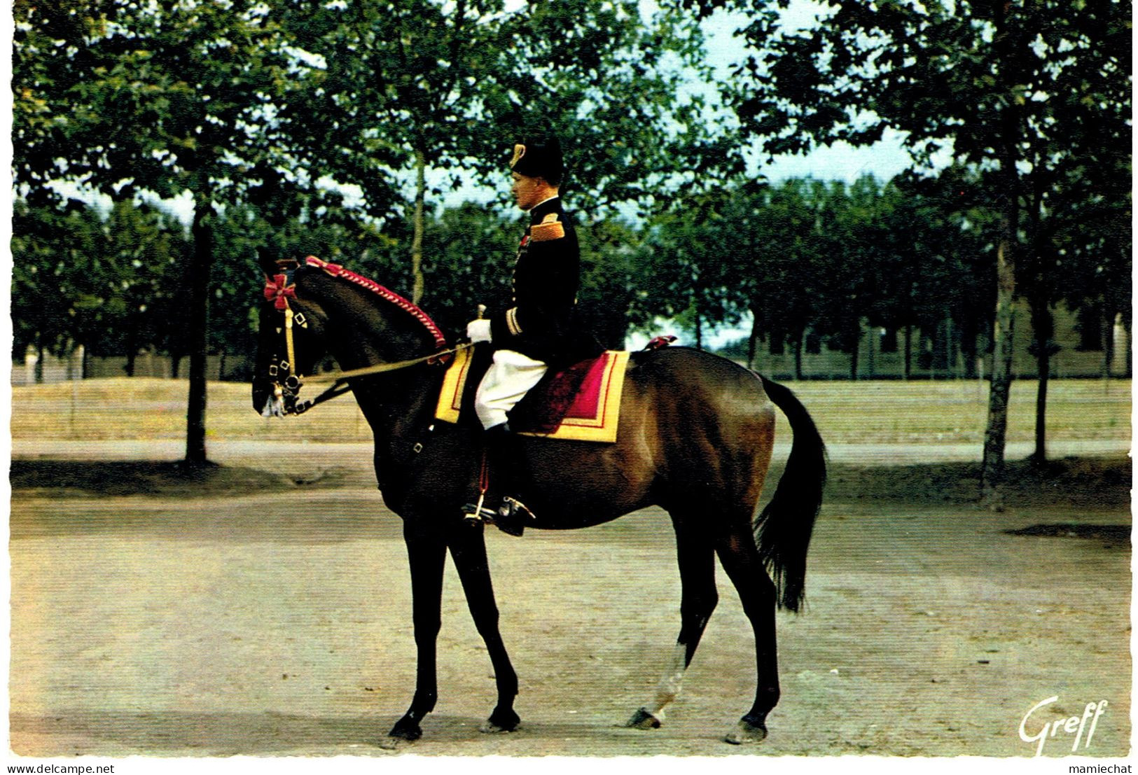 SAUMUR-OFFICIER DU CADRE NOIR- - Chevaux