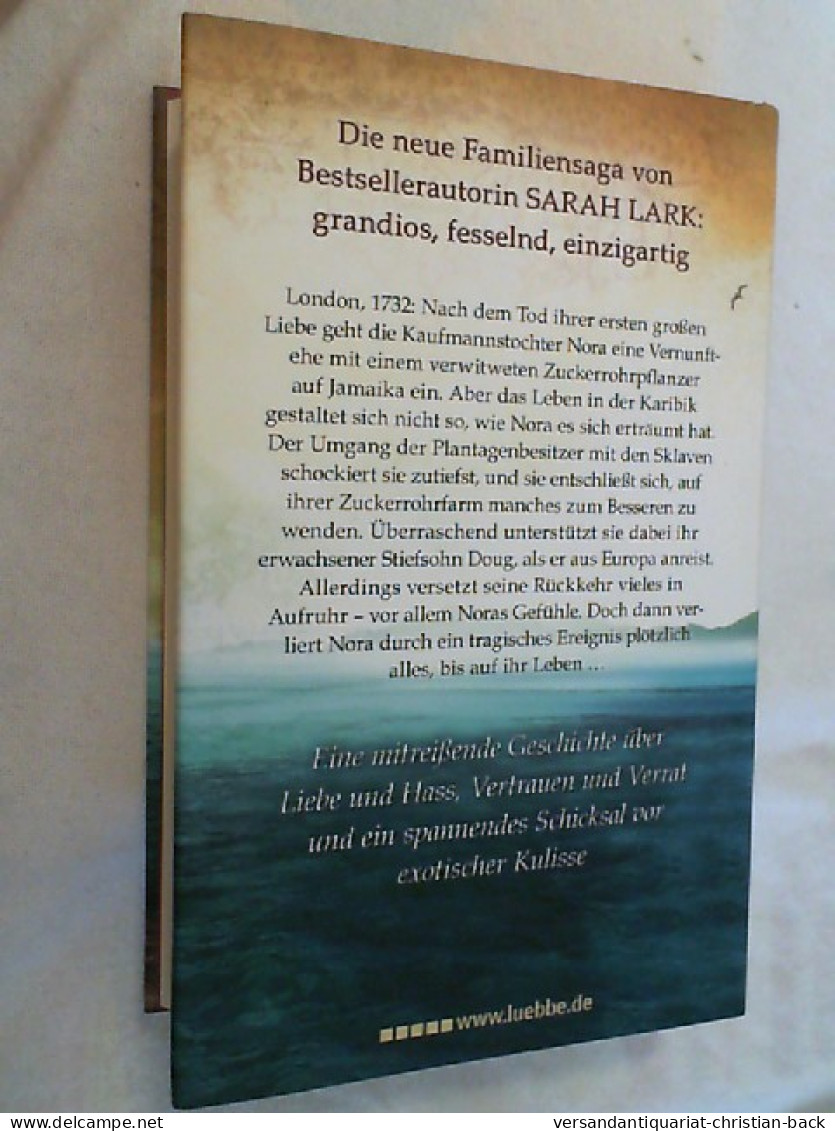 Die Insel Der Tausend Quellen : Roman. - Entretenimiento