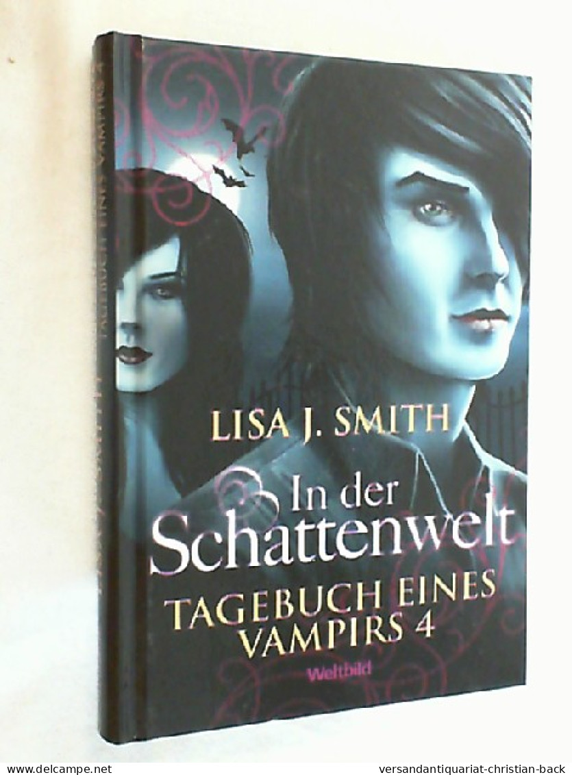 Tagebuch Eines Vampirs. In Der Schattenwelt 4 - Andere & Zonder Classificatie