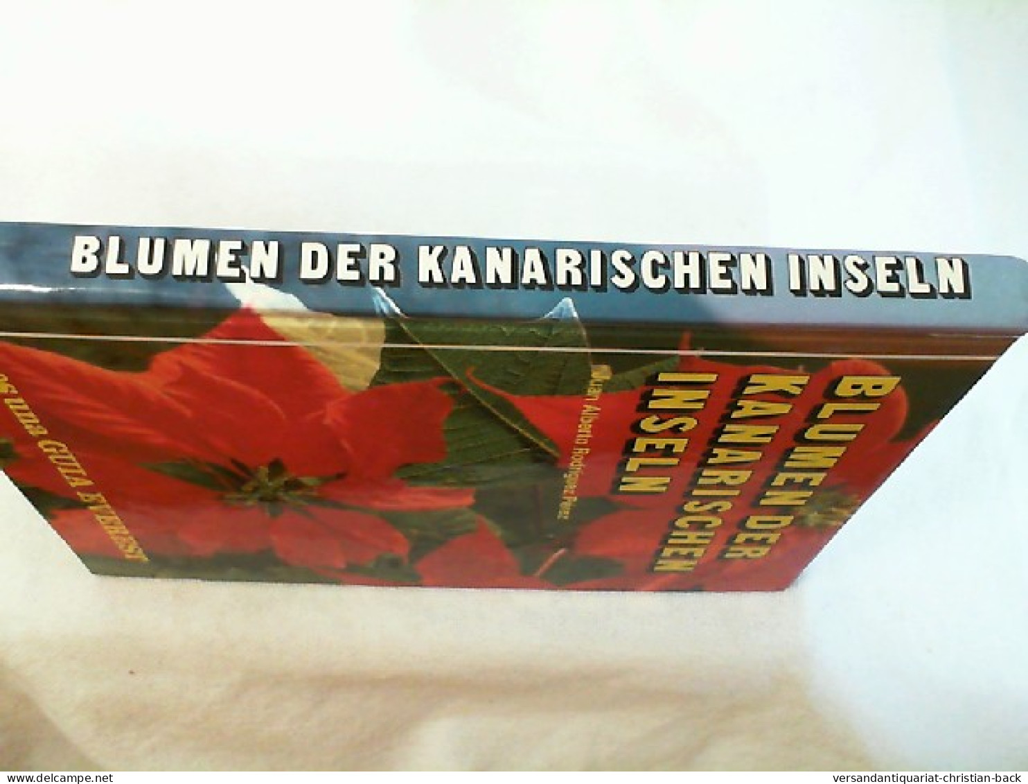 Blumen Der Kanarischen Inseln. - Botanik