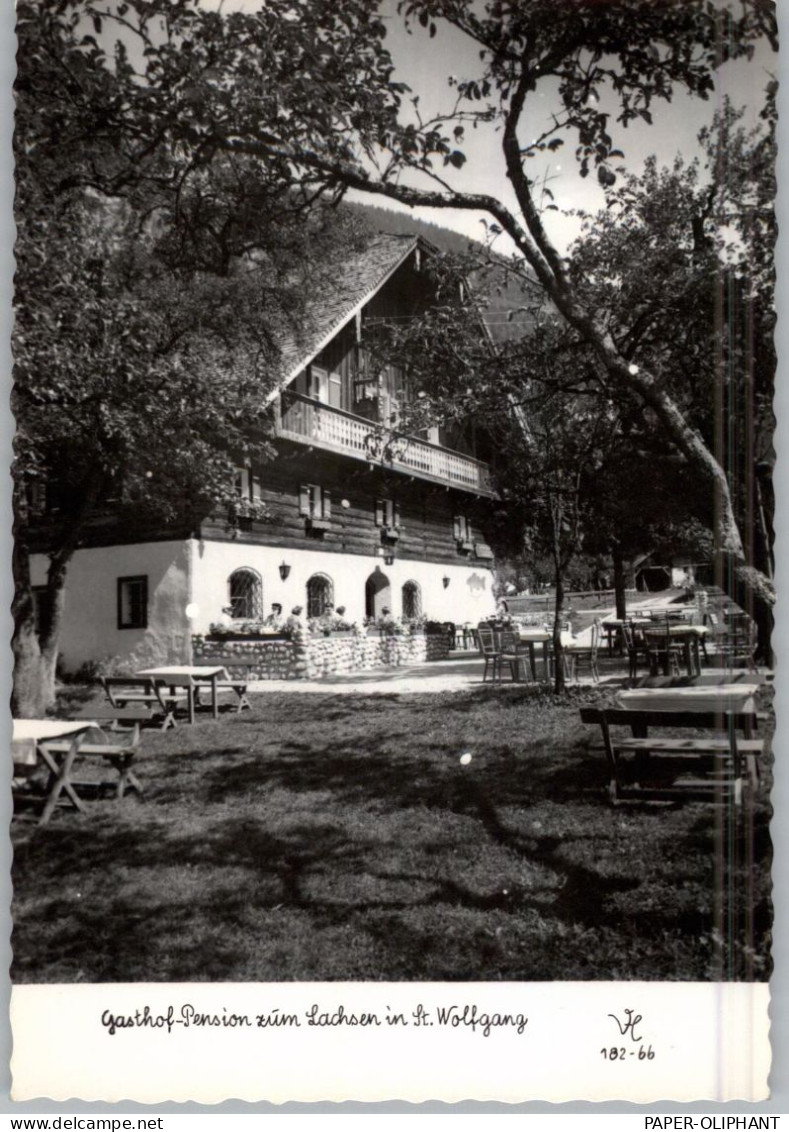 A 5360 SANKT WOLFGANG, Gasthof / Pension Zum Lachsen, 1962 - St. Wolfgang