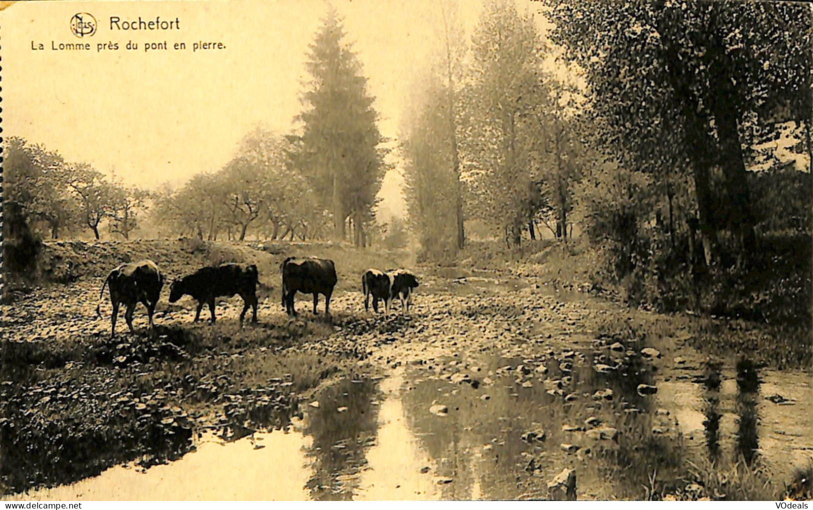 Belgique - Namur - Rochefort - Le Lomme Près Du Pont En Pierre - Rochefort