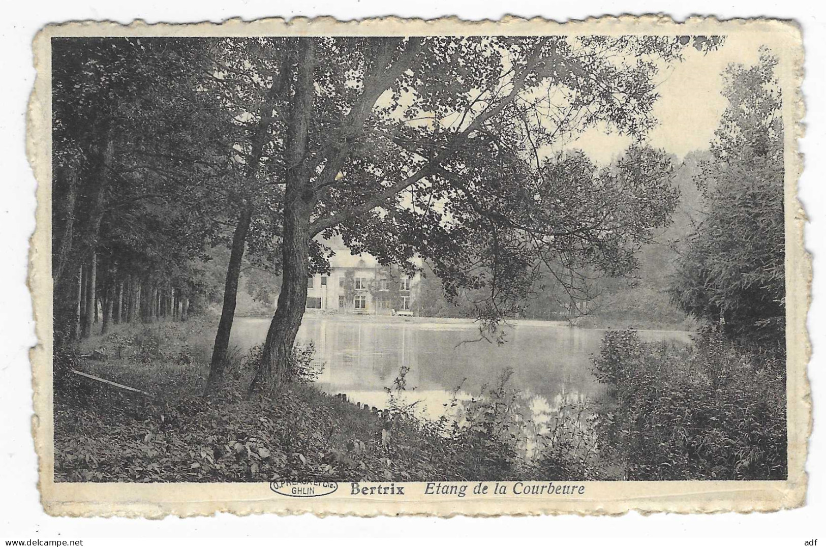 CPSM BERTRIX, ETANG DE LA COURBEURE, Format 9 Cm Sur 14 Cm Environ, BELGIQUE - Bertrix