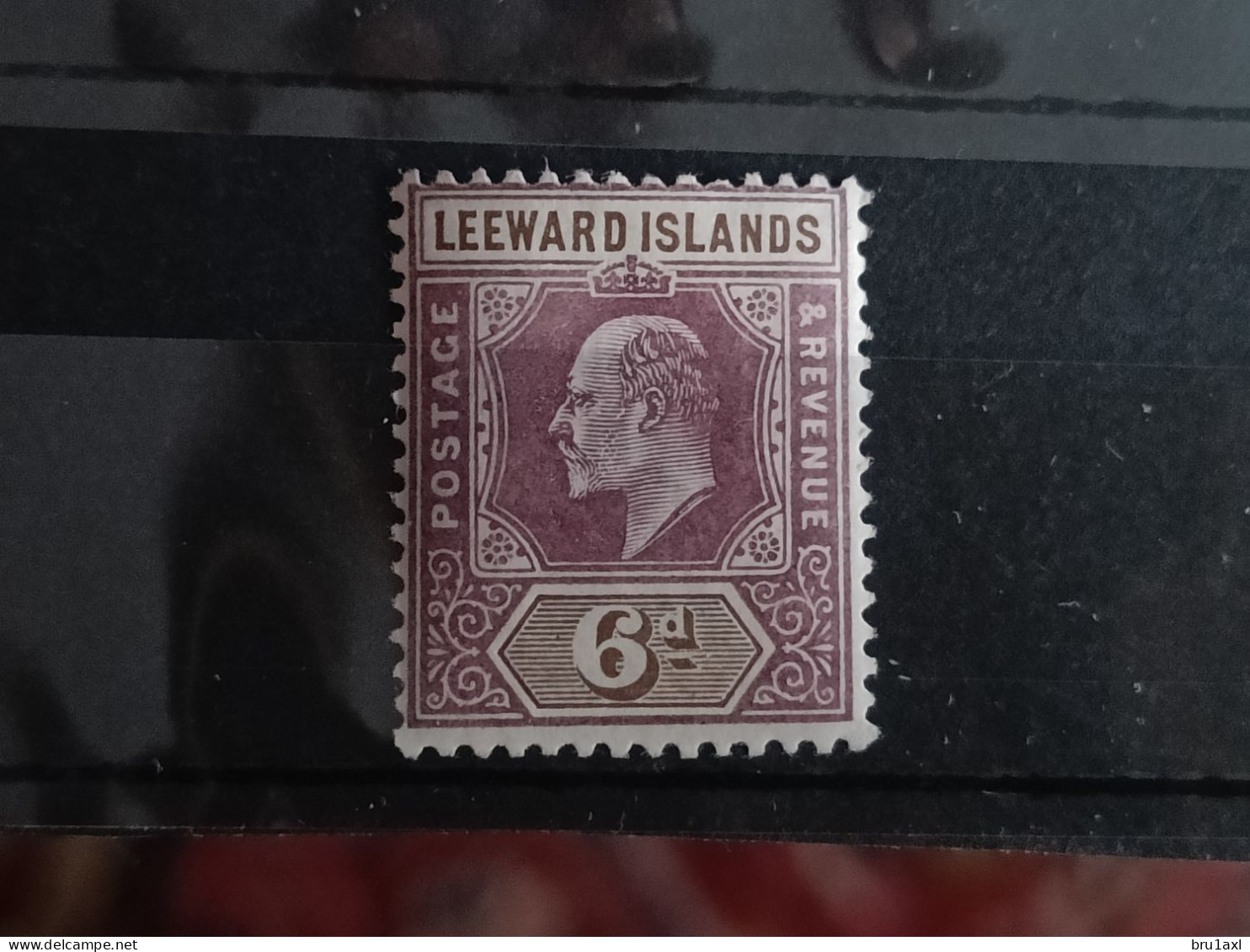 Leeward 1902 Yv 25 SG 25 Wm CA Crown MNH (7) - Leeward  Islands