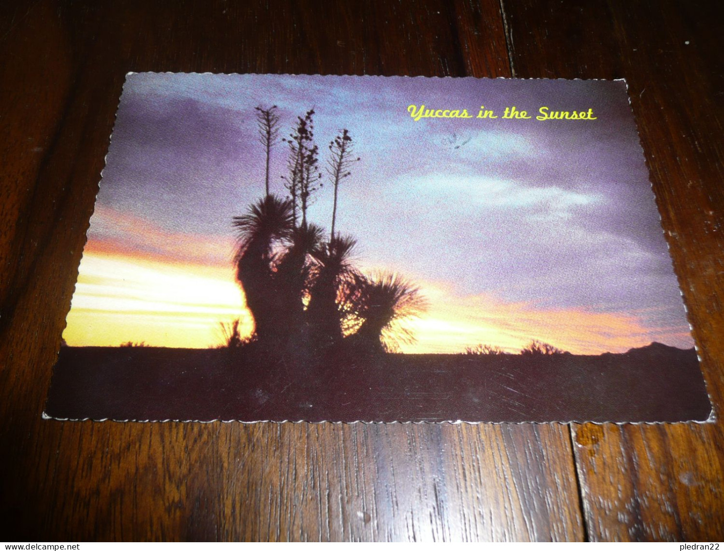 CARTE POSTALE MODERNE CPM ETATS UNIS NEW MEXICO COUCHER DE SOLEIL DESERT YUCCA IN SUNSET ECRITE AVEC TIMBRE 1972 - Altri & Non Classificati