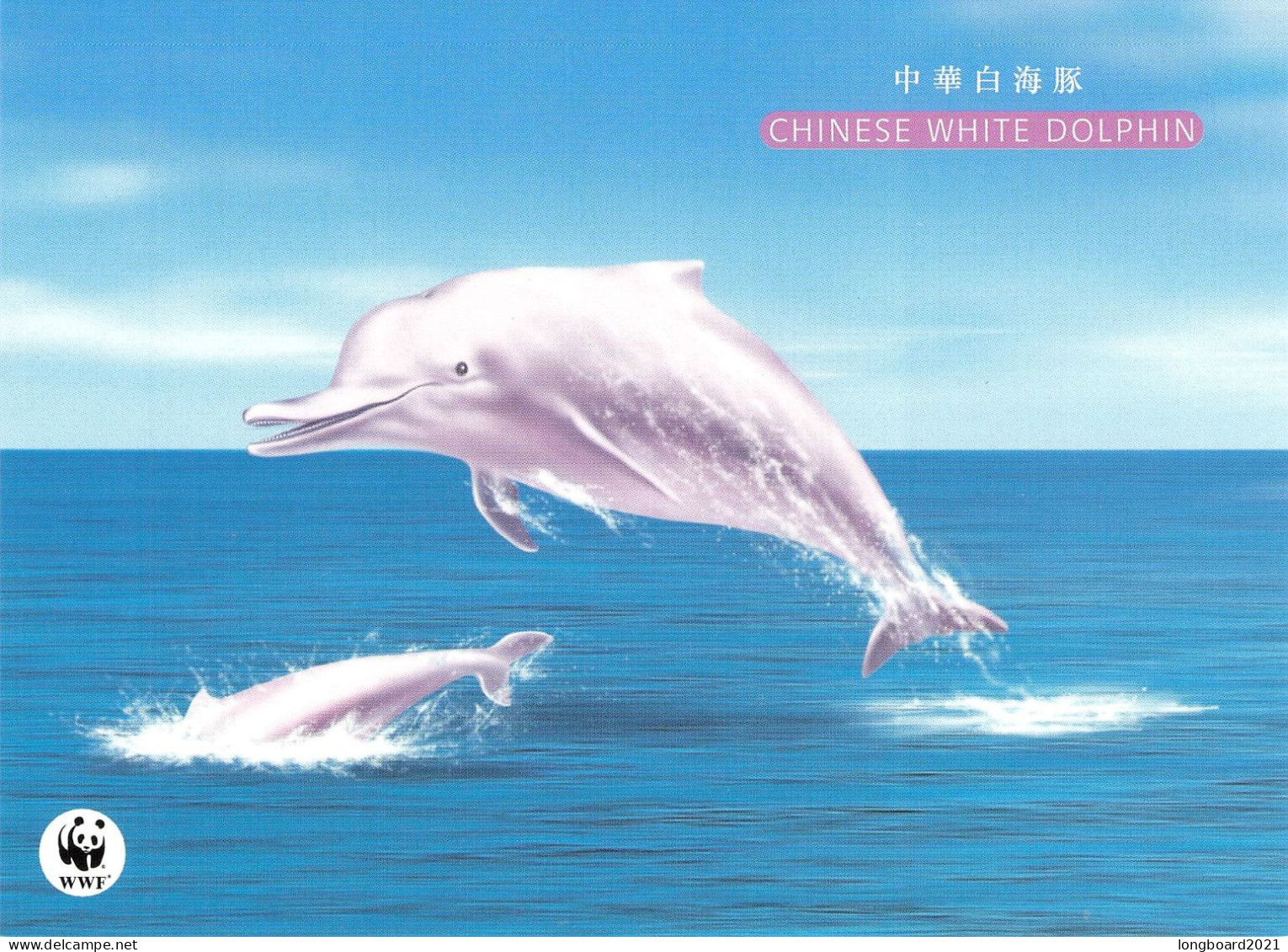 HONGKONG - POSTCARD WWF FDC 1999 - DOLPHIN  /4367 - Postwaardestukken