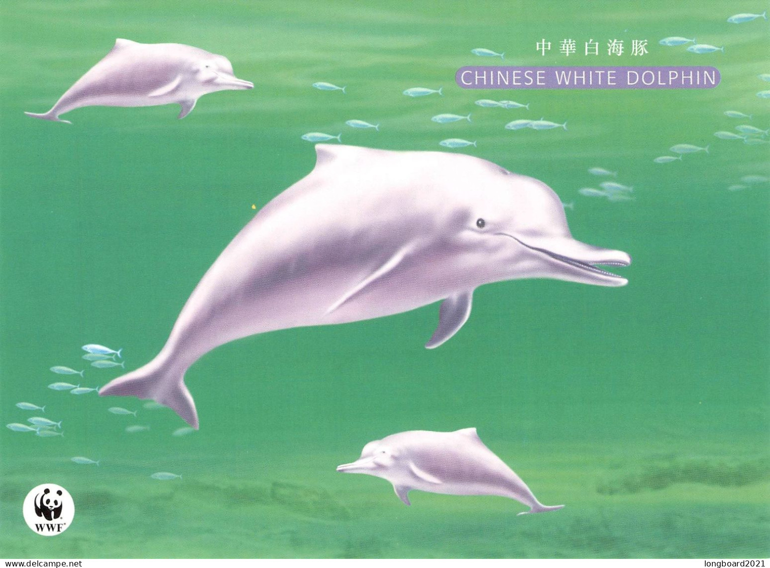 HONGKONG - POSTCARD WWF FDC 1999 - DOLPHIN  /4367 - Ganzsachen