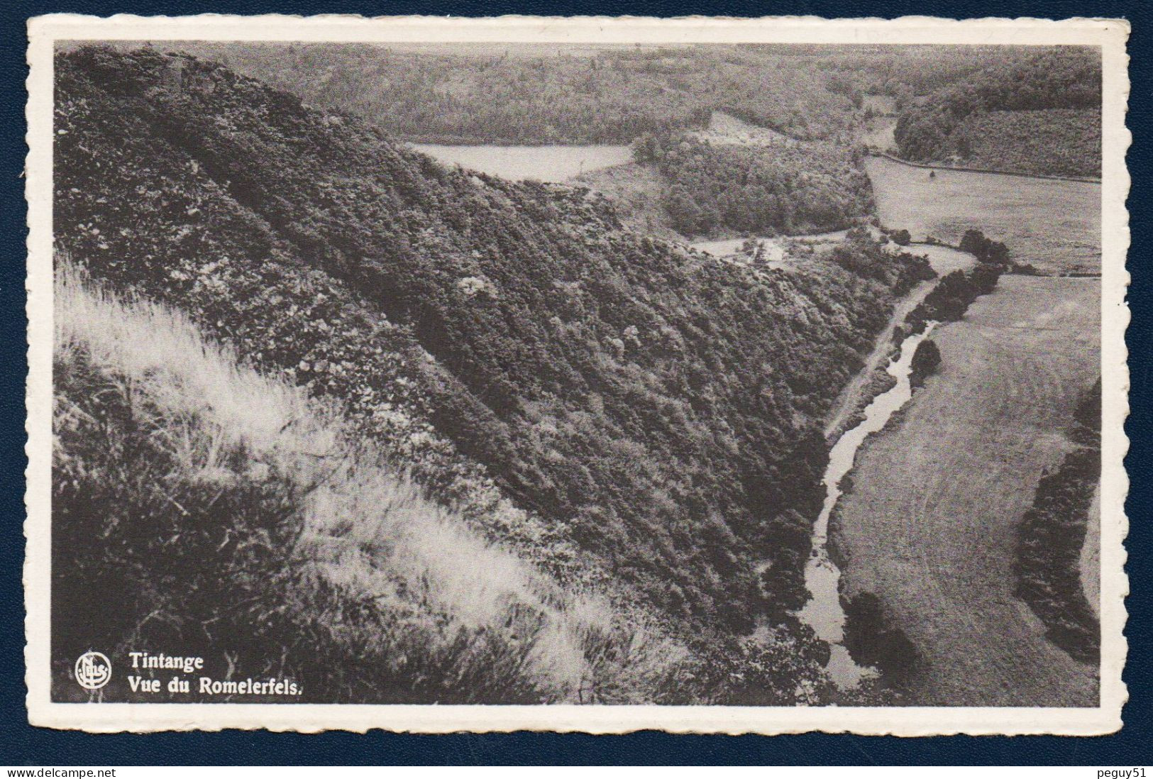 Tintange ( Fauvillers). Vue Du Romelerfels. La Sûre Et La Frontière Luxembourgeoise. - Fauvillers