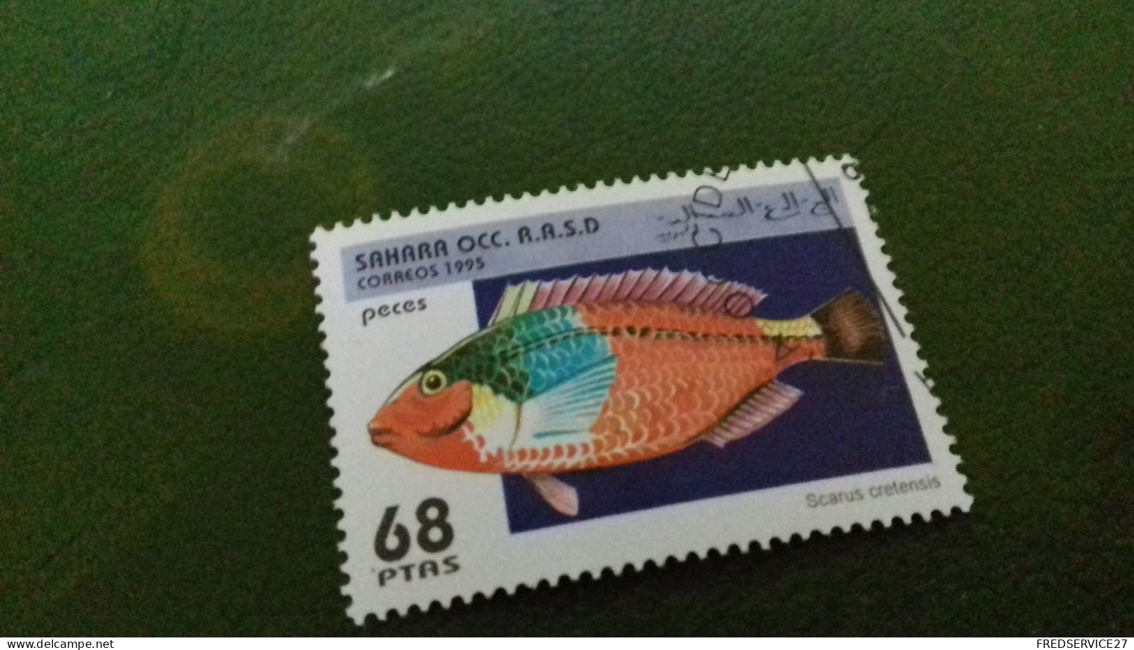 TIMBRE  SAHARA OCC R A S D 1995 POISSON - Altri - Africa