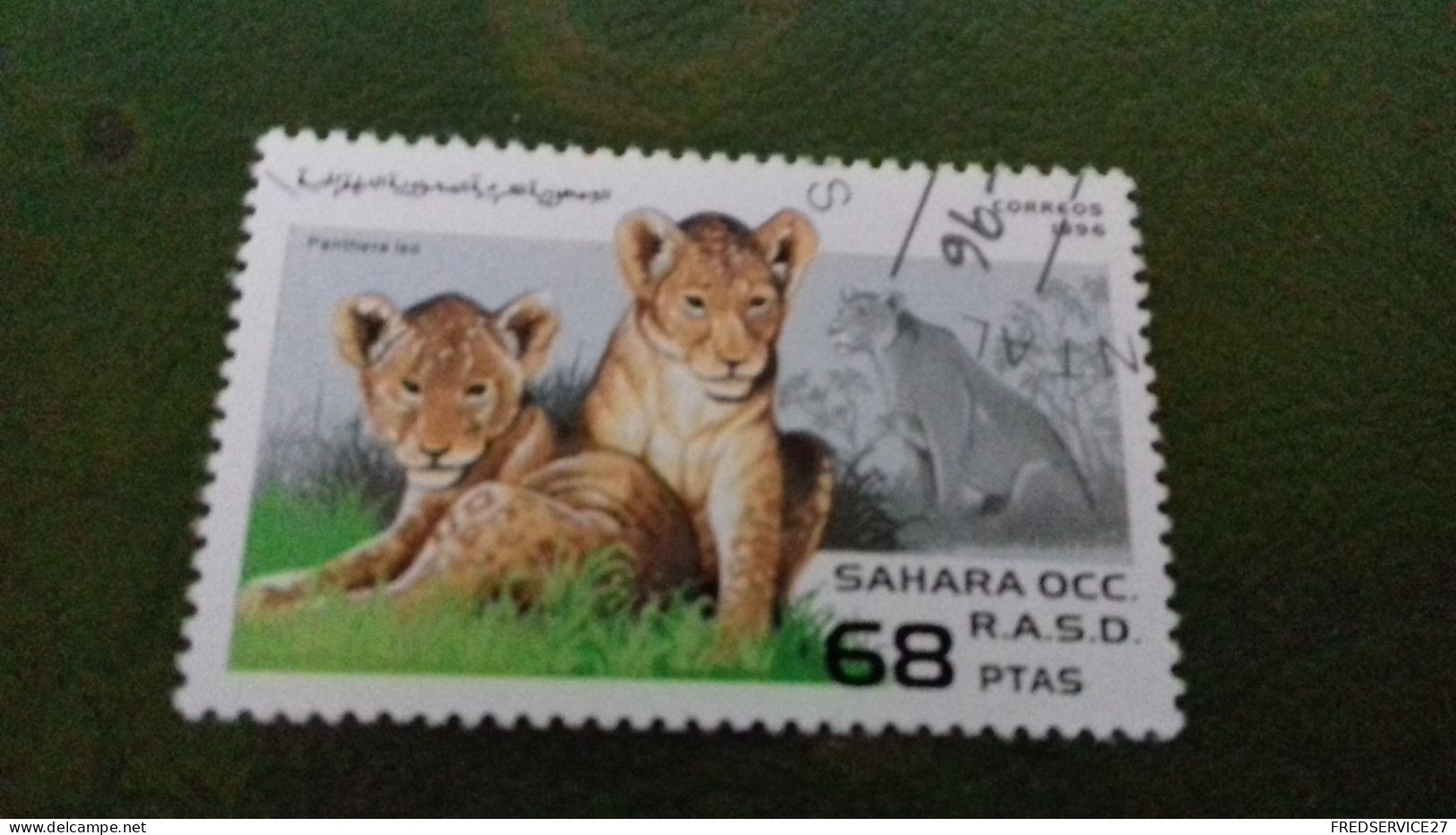 TIMBRE  SAHARA OCC R A S D 1996 LION - Altri - Africa