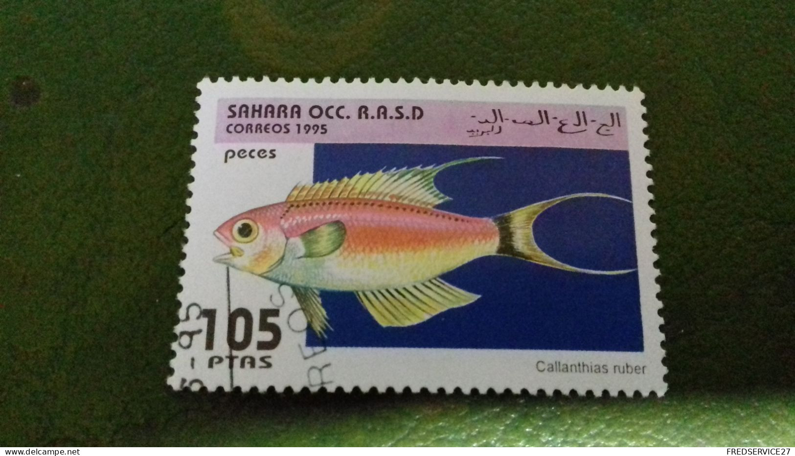 TIMBRE  SAHARA OCC R A S D 1995 POISSON - Altri - Africa