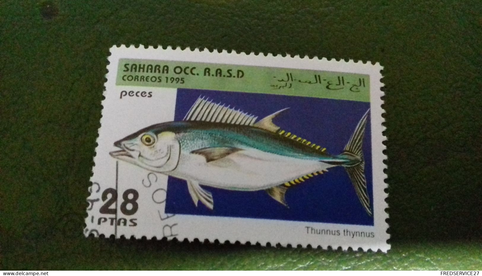 TIMBRE  SAHARA OCC R A S D 1995 POISSON - Altri - Africa