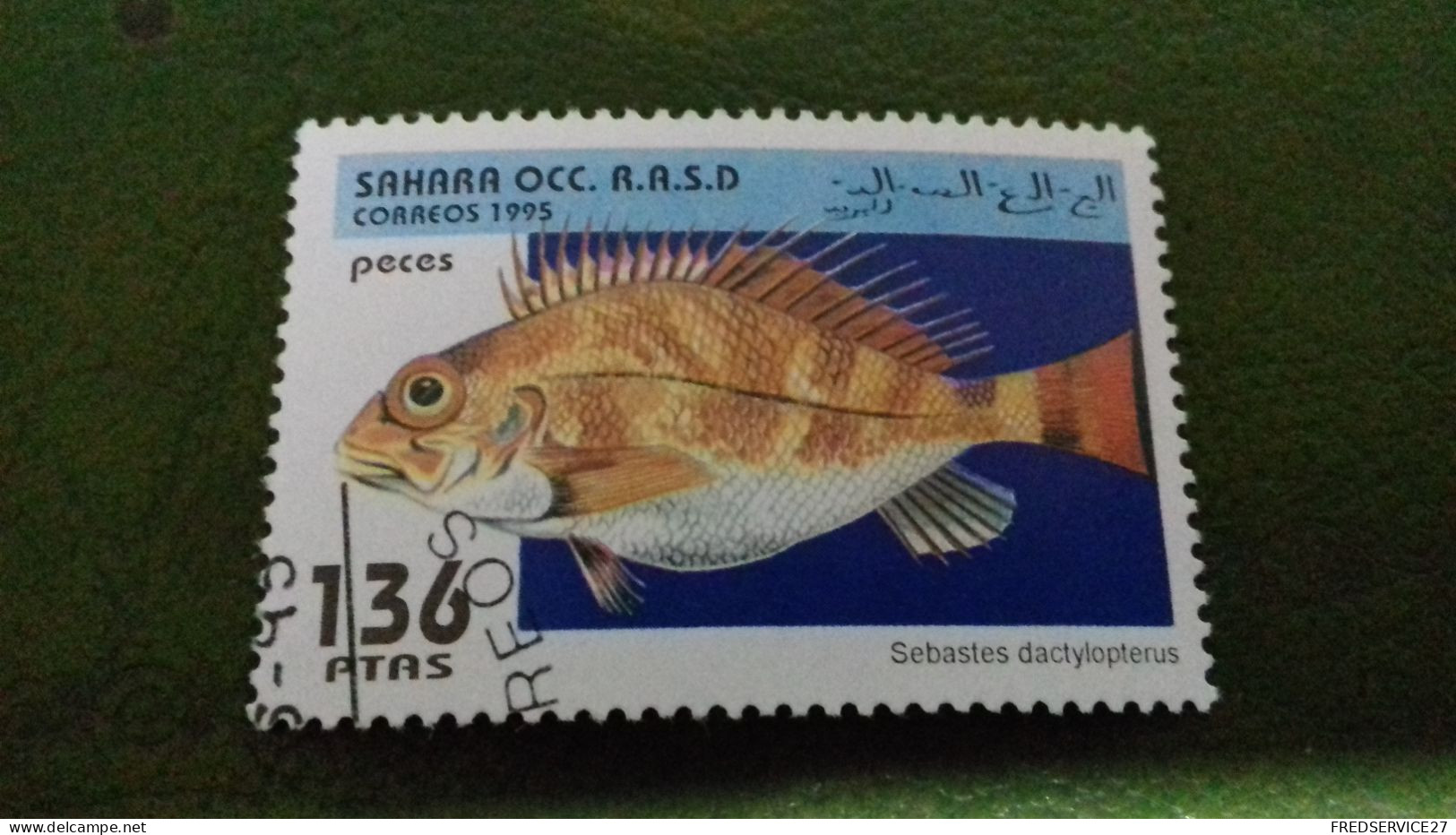 TIMBRE  SAHARA OCC R A S D 1995 POISSON - Altri - Africa