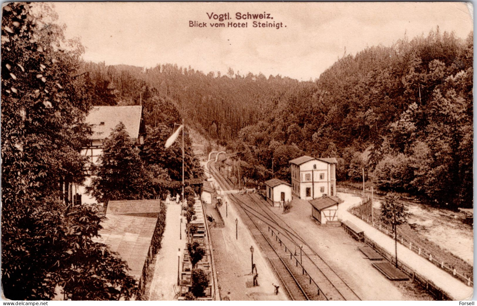 Vogtl. Schweiz Blick Vom Hotel Steinigt (Steinicht) (...auf Den Bahnhof Bartmühle Und Die Gleise) (Gelaufen) - Poehl