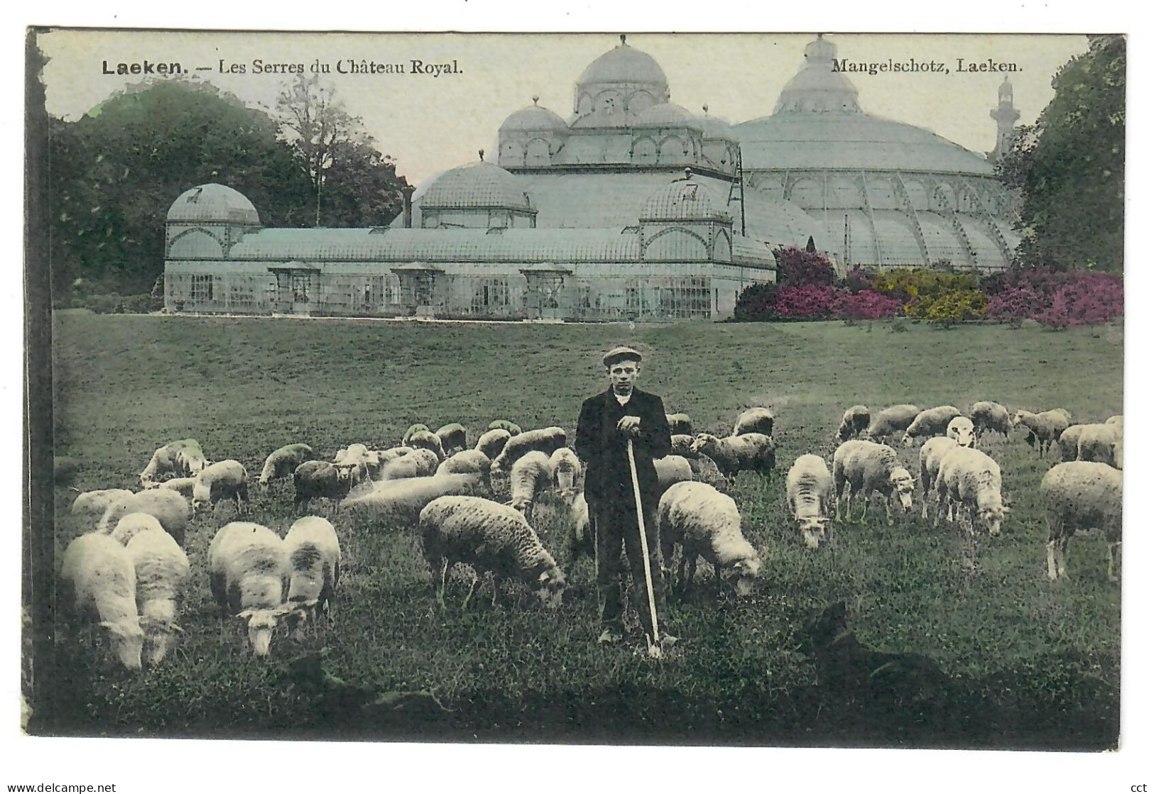 Laeken  Laken    Bruxelles    Les Serres Du Château Royal - Laeken