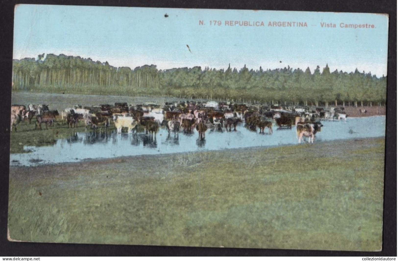 REPUBLICA ARGENTINA - VISTA CAMPESTRE - CARTOLINA FP SPEDITA NEL 1919 - Argentine