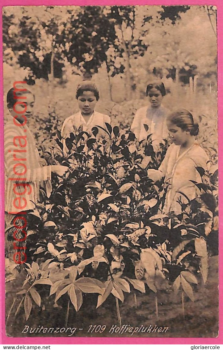 Af8999 - INDONESIA - Vintage POSTCARD - Buitenzorg - Ethnic - Asie