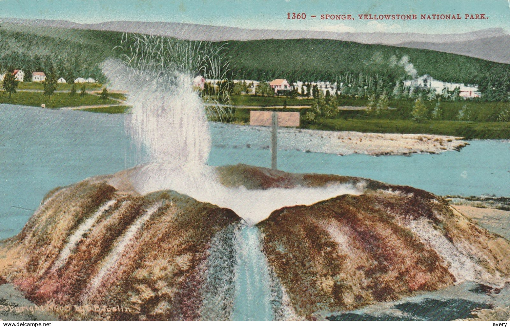 Sponge, Yellowstone National Park, Wyoming - Yellowstone